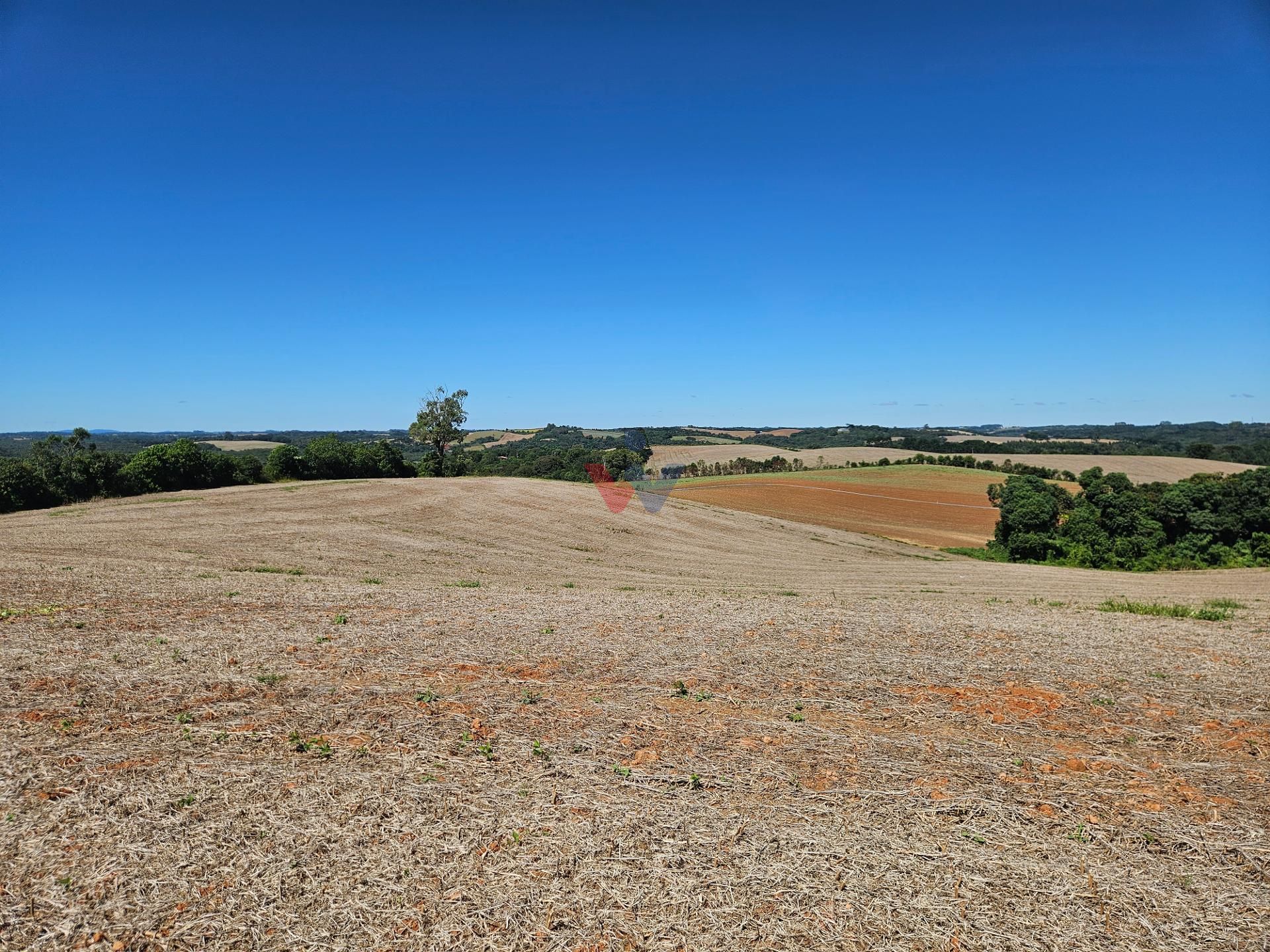 Oportunidade em Araucária  de 67.700 m  de frente para o asfalto