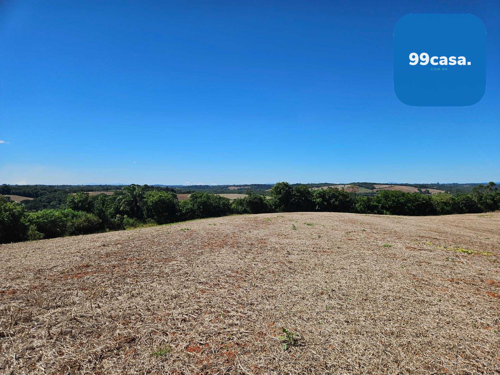 Oportunidade em Araucária  de 67.700 m  de frente para o asfalto