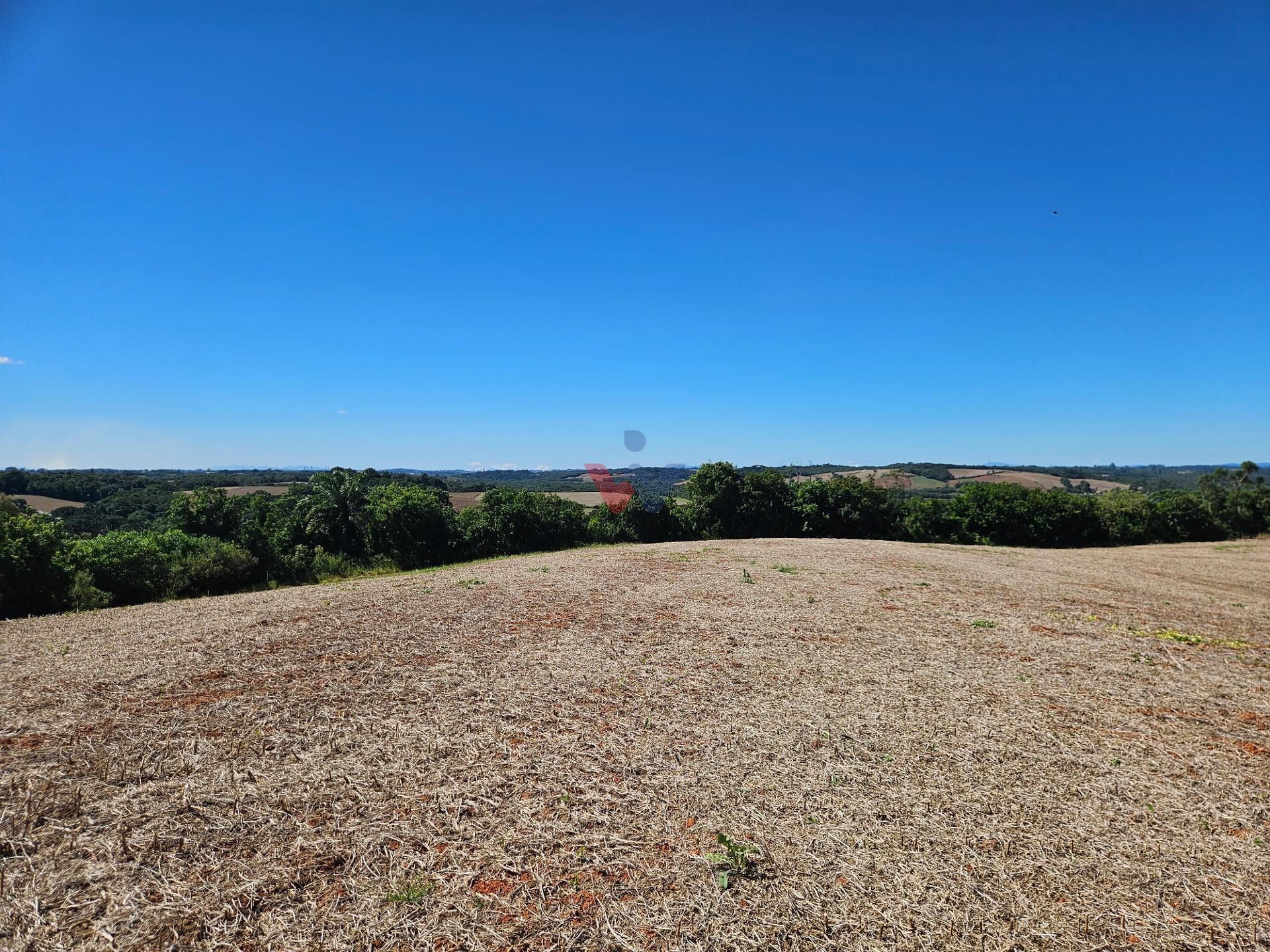 Oportunidade em Araucária  de 67.700 m  de frente para o asfalto