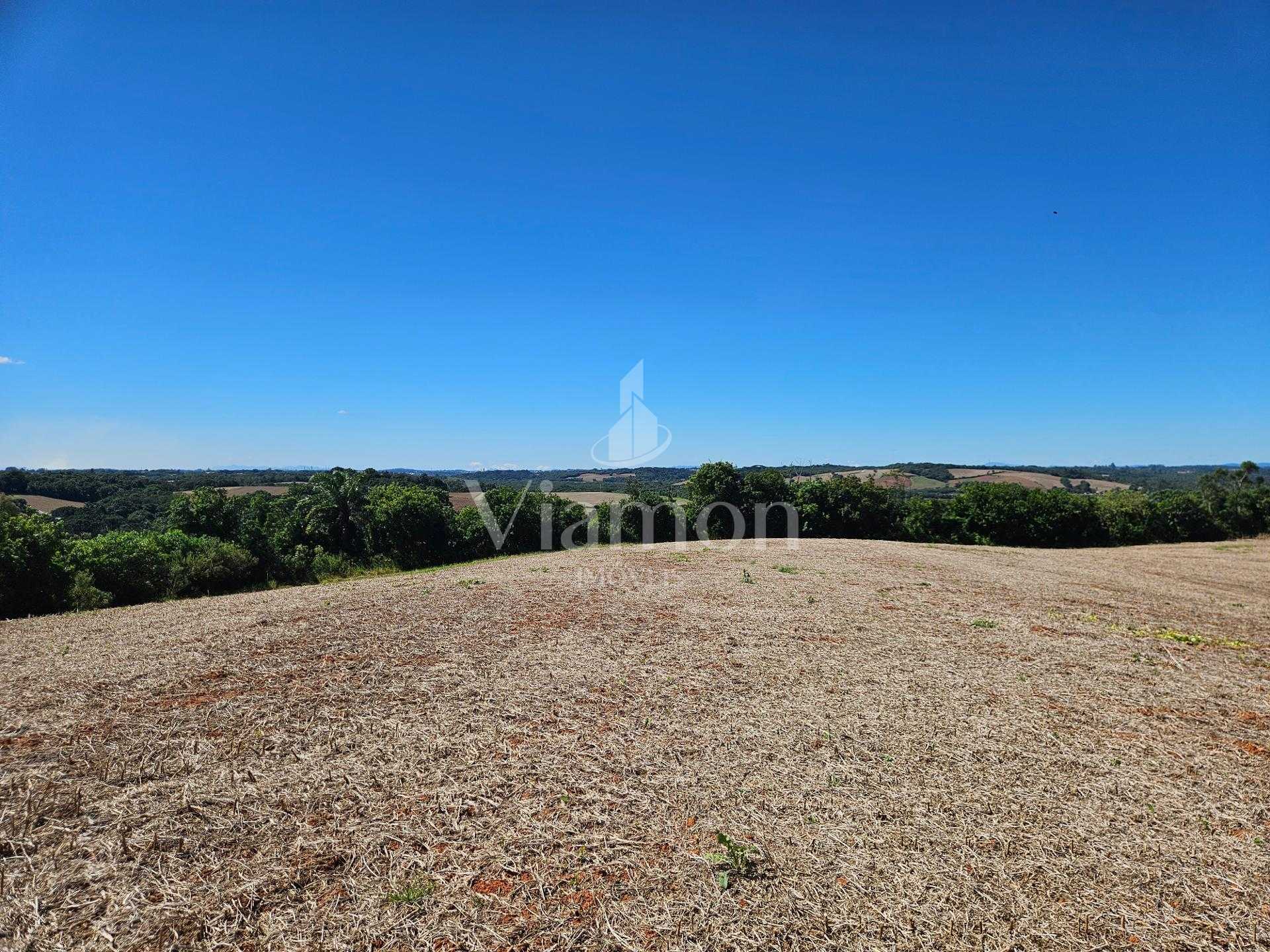 Oportunidade em Araucária  de 67.700 m  de frente para o asfalto