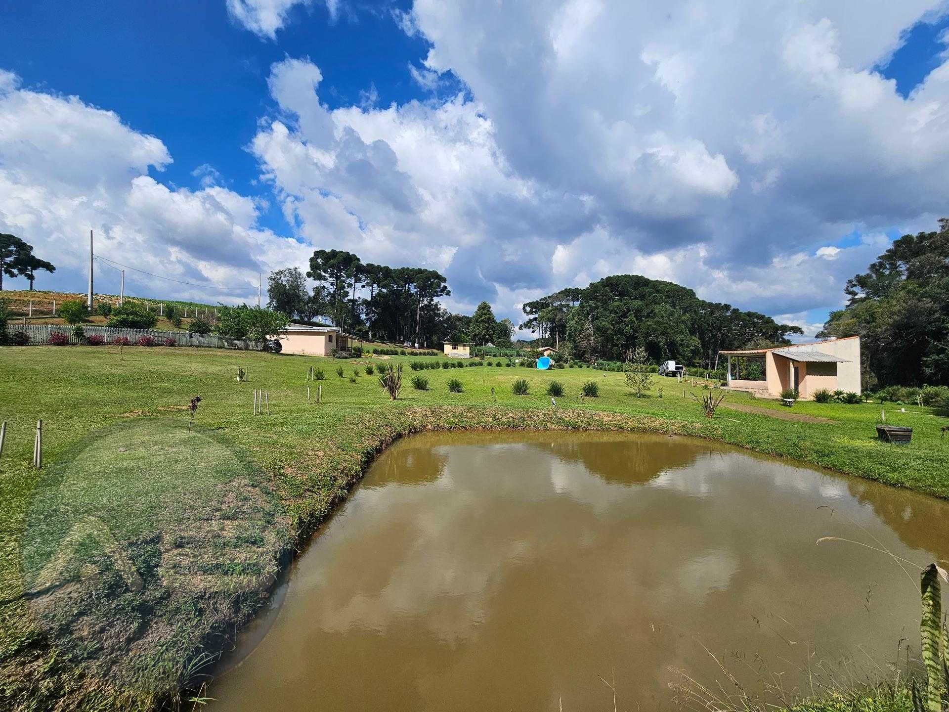 Ch?cara paradis?aca em Arauc?ria  20.000m  com casa, quiosque ...