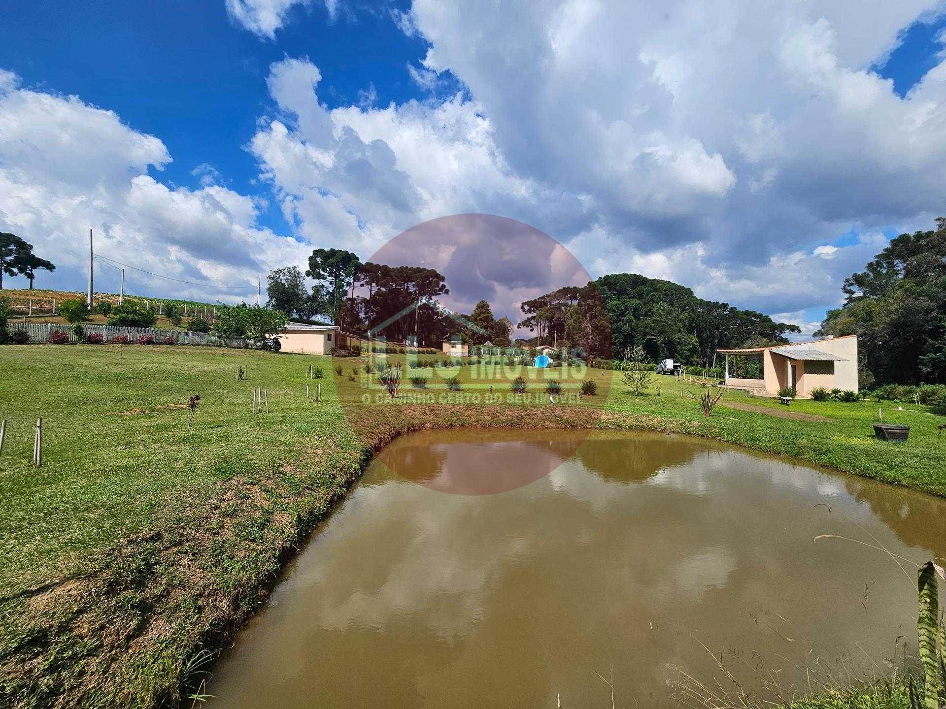 Chácara paradisíaca em Araucária  20.000m  com casa, quiosque e córrego