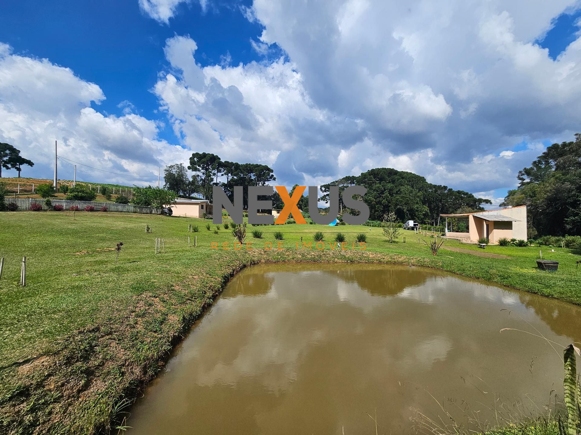 Chácara paradisíaca em Araucária  20.000m  com casa, quiosque ...