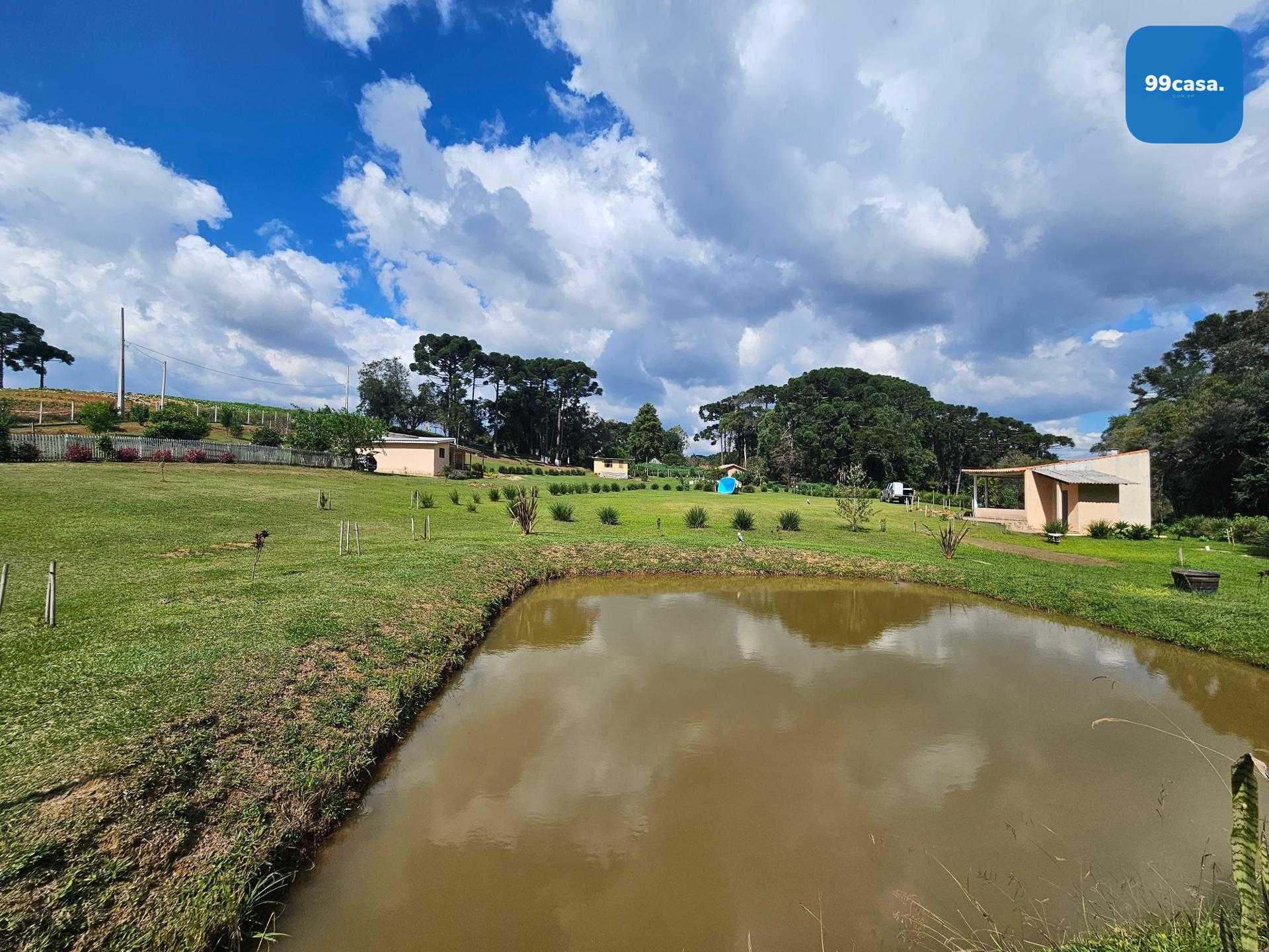 Chácara paradisíaca em Araucária  20.000m  com casa, quiosque ...
