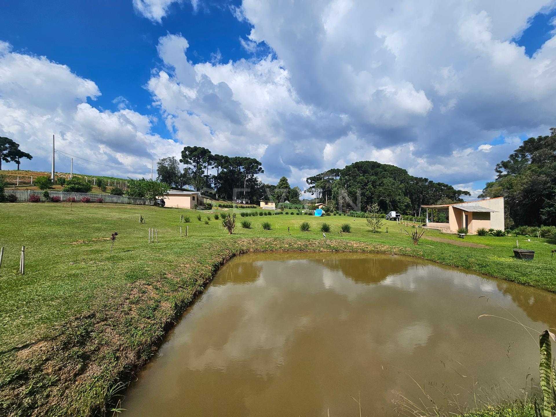 Chácara paradisíaca em Araucária  20.000m  com casa, quiosque ...