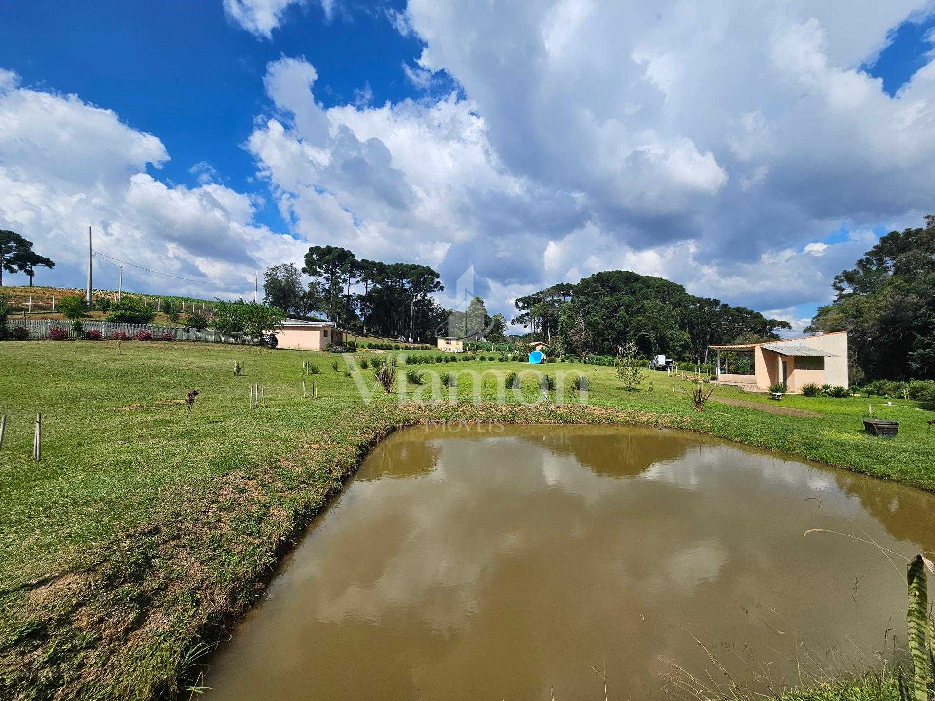 Chácara paradisíaca em Araucária  20.000m  com casa, quiosque ...