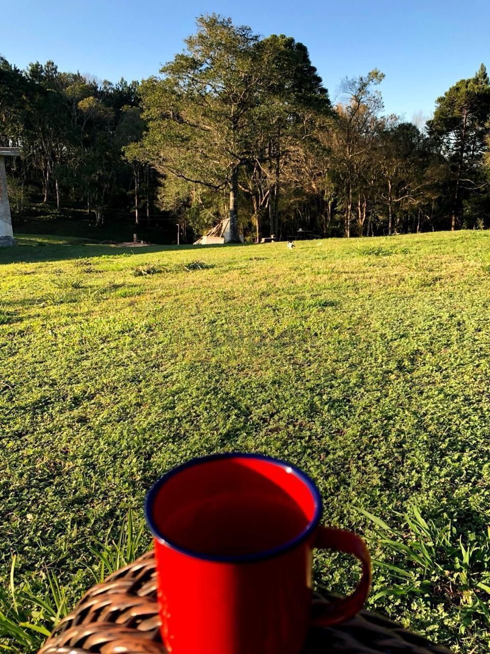 Chácara à venda, roseira, CURITIBA - PR