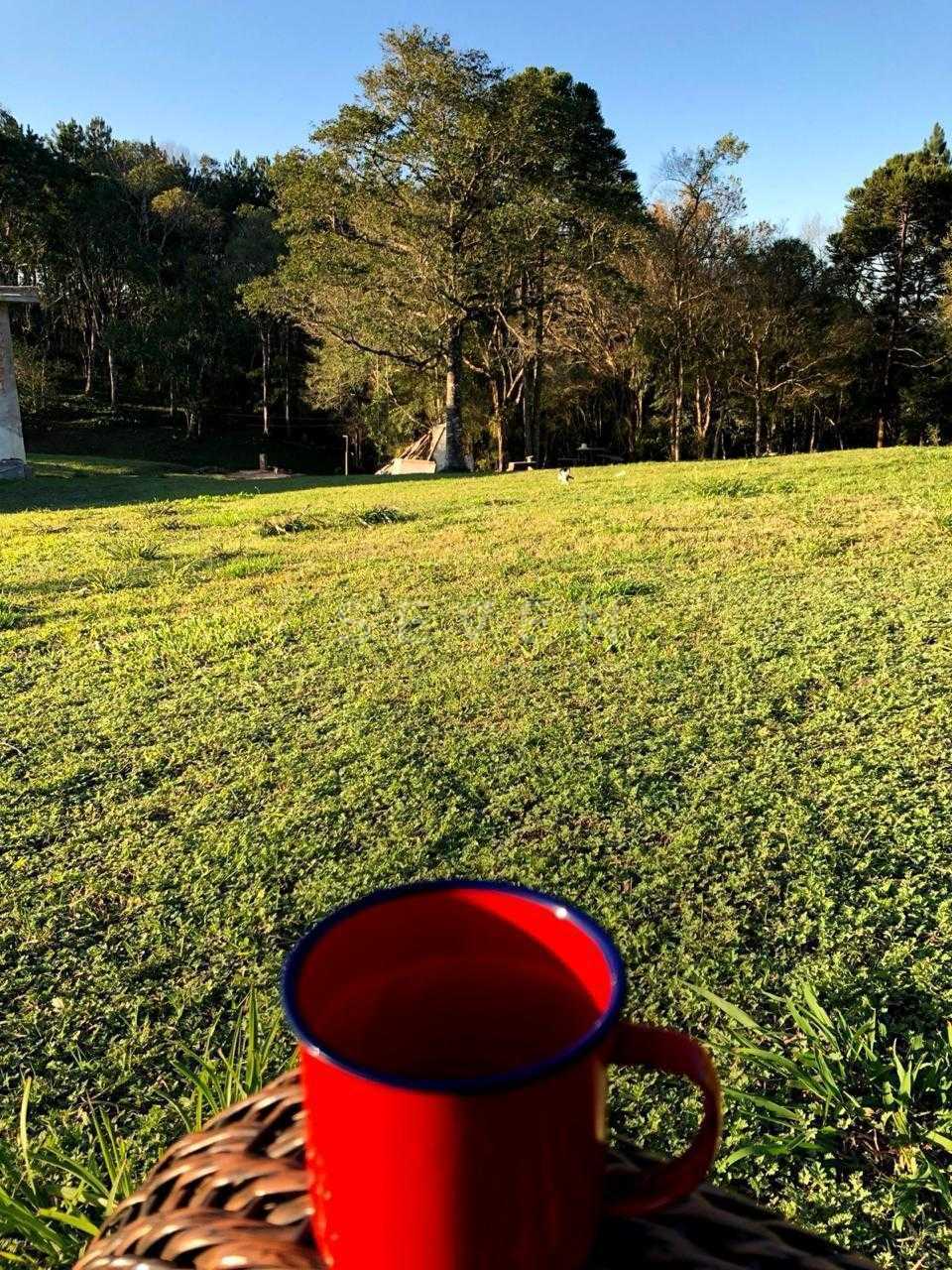Chácara à venda, roseira, CURITIBA - PR