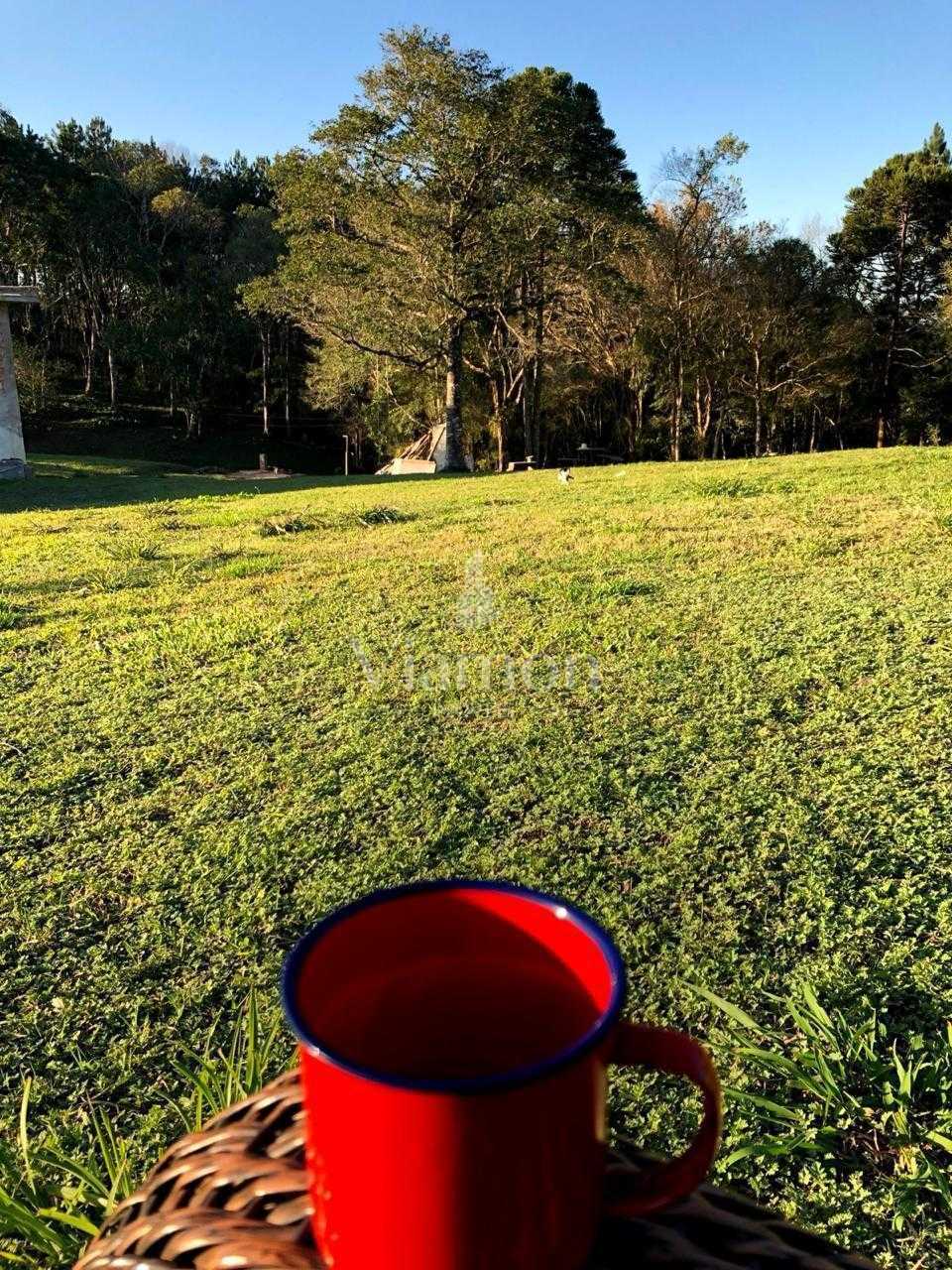 Chácara à venda, roseira, CURITIBA - PR
