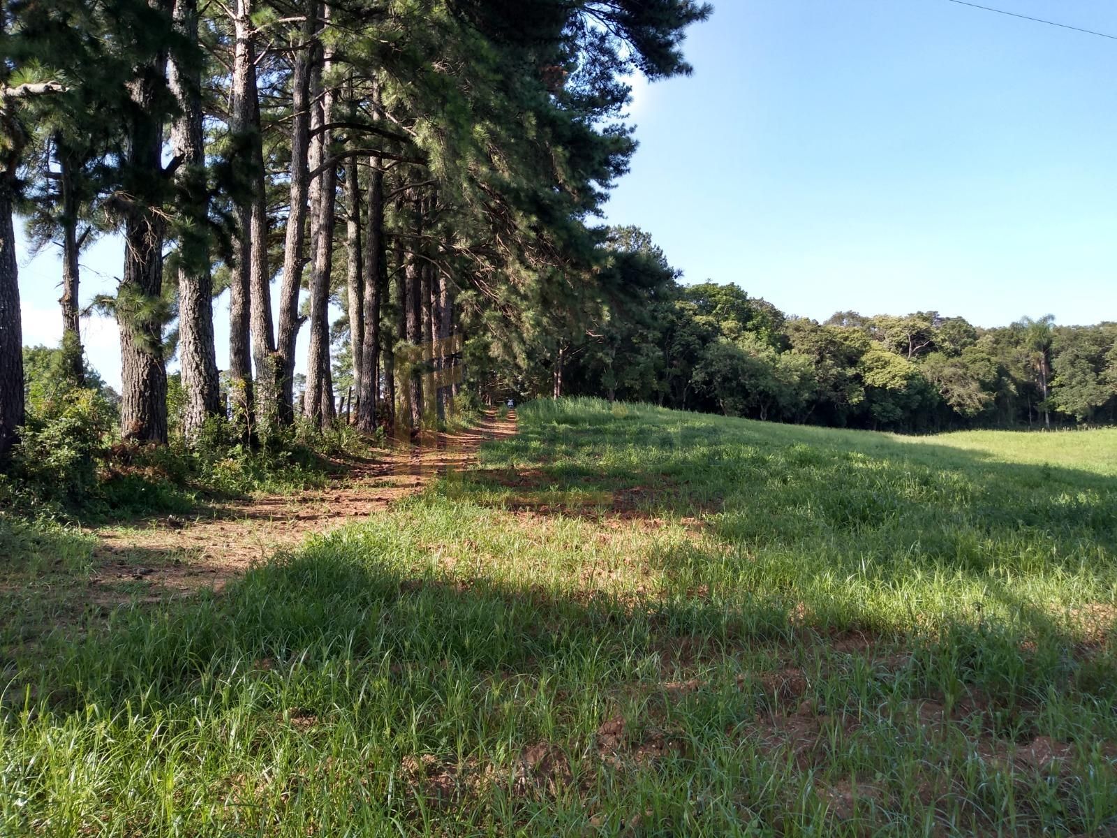 Terreno à venda,11.50 m , são miguel, CURITIBA - PR