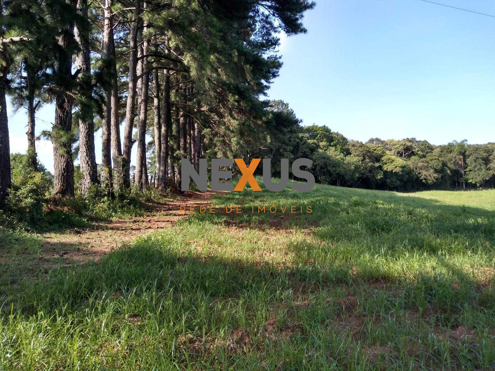 Terreno à venda,11.50 m , são miguel, CURITIBA - PR