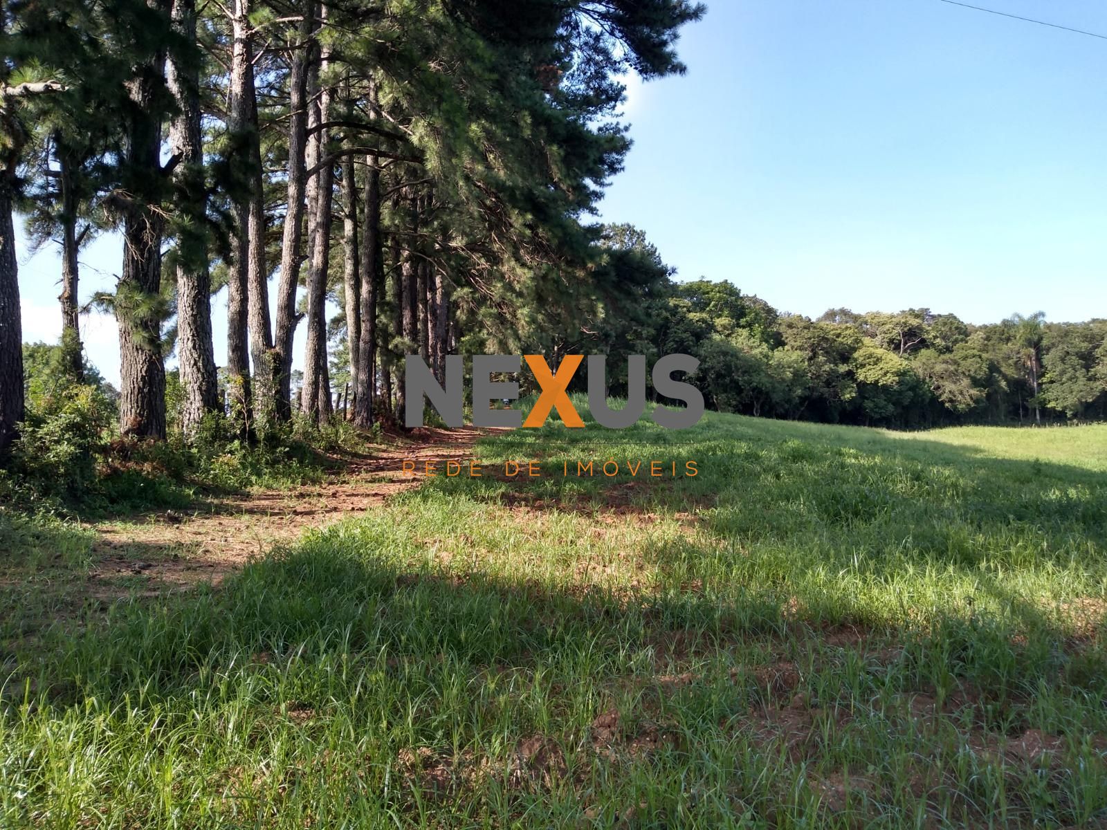 Terreno à venda,11.50 m , são miguel, CURITIBA - PR