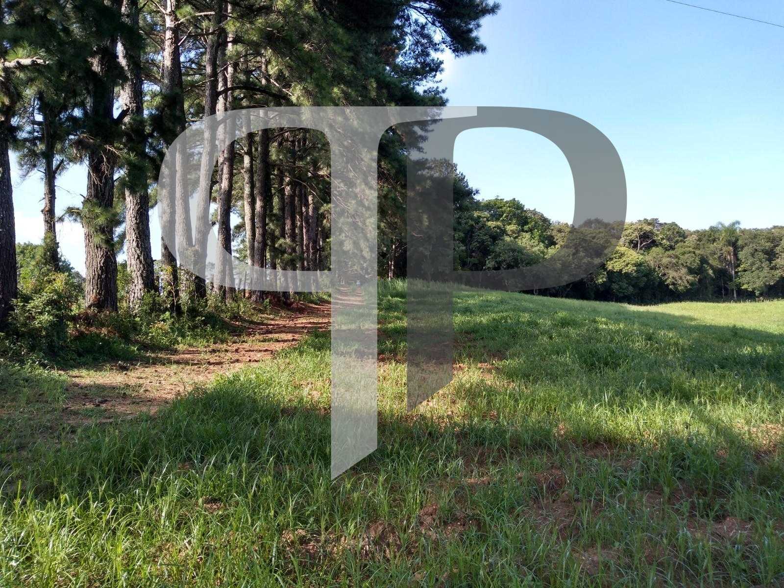 Terreno à venda,11.50 m , são miguel, CURITIBA - PR