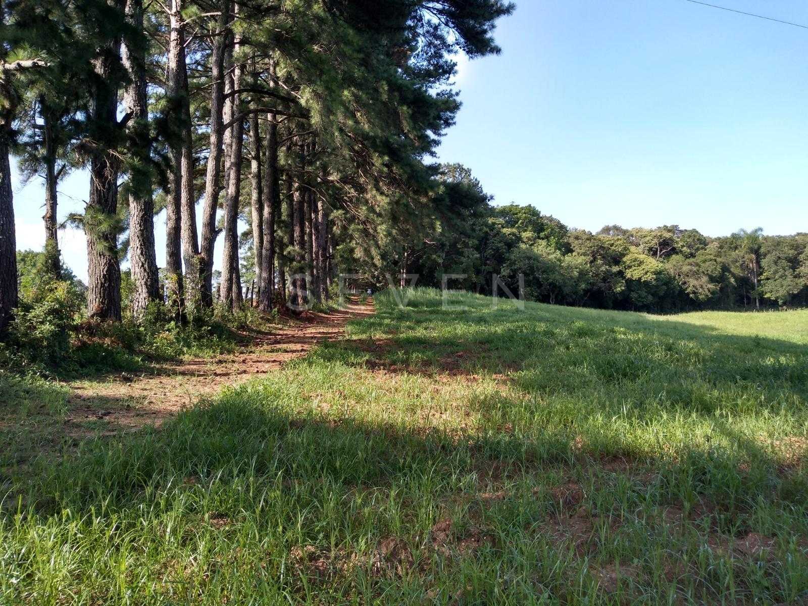 Terreno à venda,11.50 m , são miguel, CURITIBA - PR