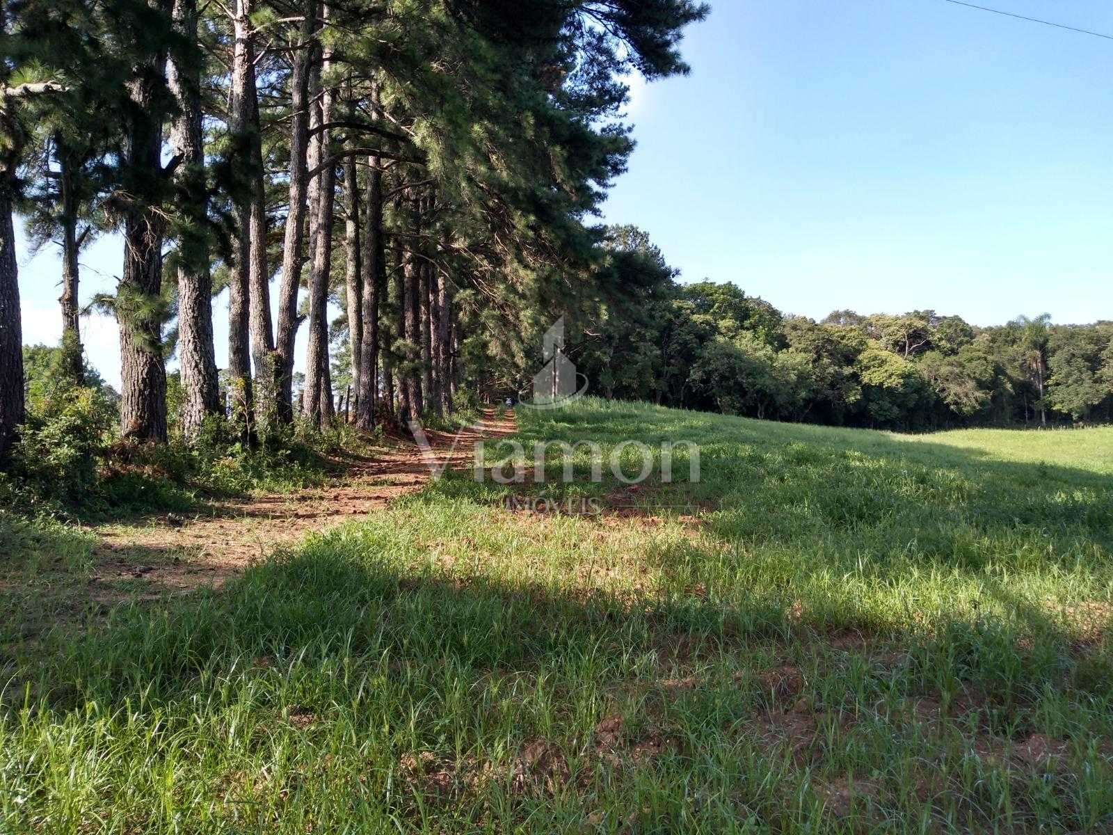 Terreno à venda,11.50 m , são miguel, CURITIBA - PR