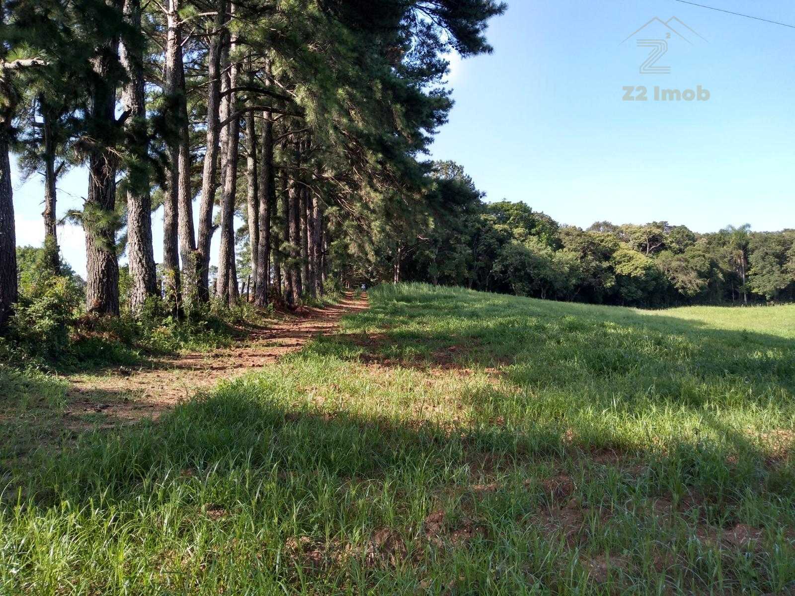 Terreno à venda,11.50 m , são miguel, CURITIBA - PR