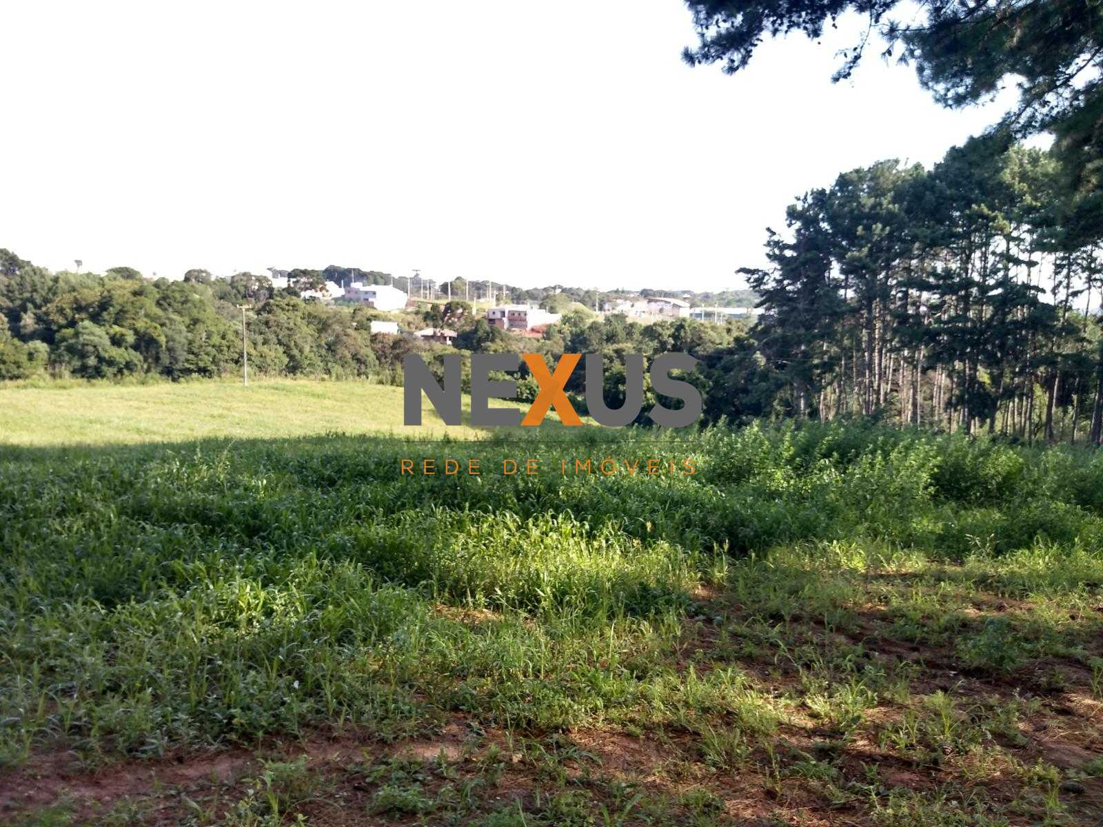 Terreno à venda,11.50 m , são miguel, CURITIBA - PR