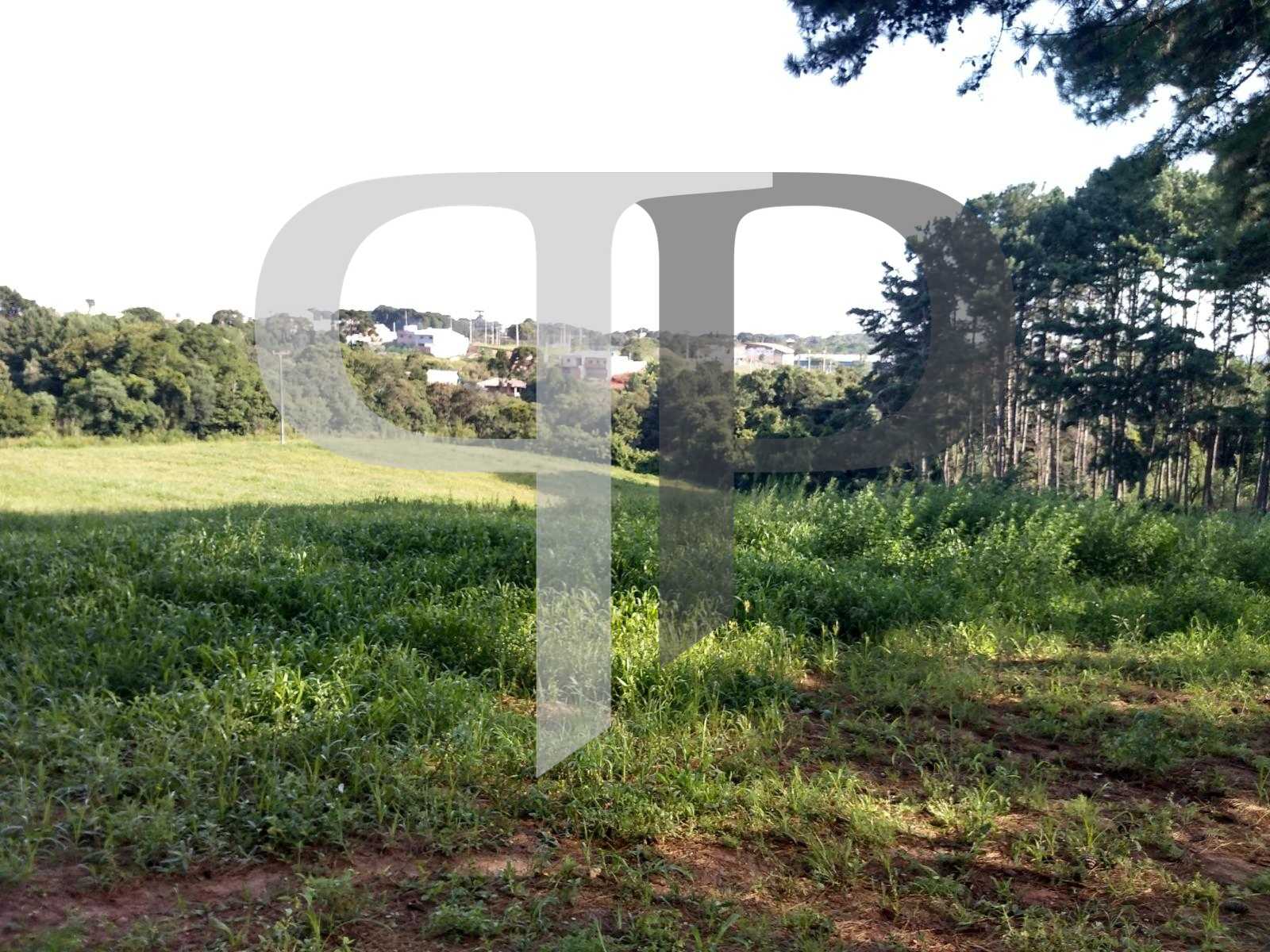 Terreno à venda,11.50 m , são miguel, CURITIBA - PR
