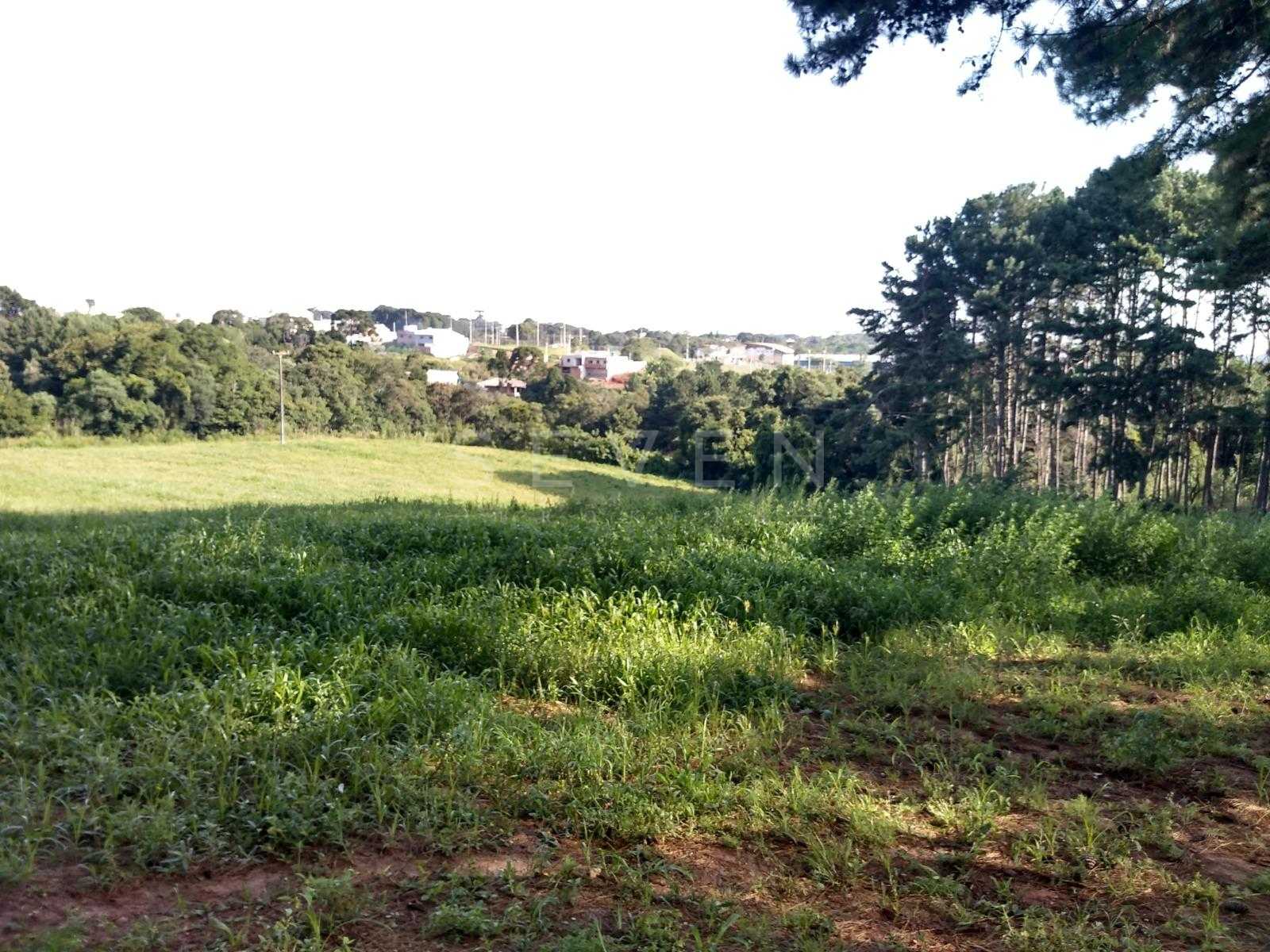 Terreno à venda,11.50 m , são miguel, CURITIBA - PR