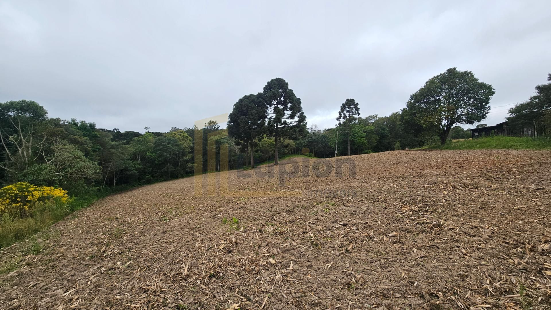 Chácara à venda,10.890 m , com tanque de peixes, CAMPESTRE DA ...