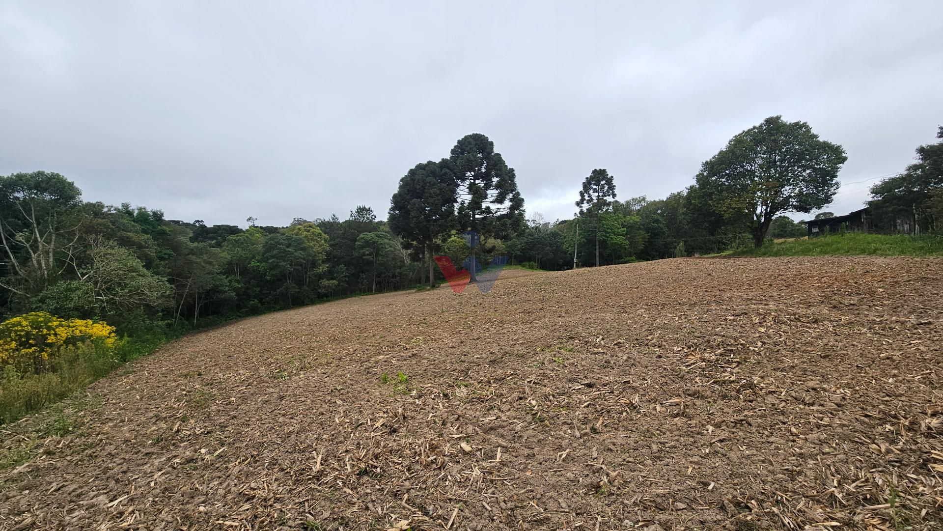 Chácara à venda,10.890 m , com tanque de peixes, CAMPESTRE DA ...