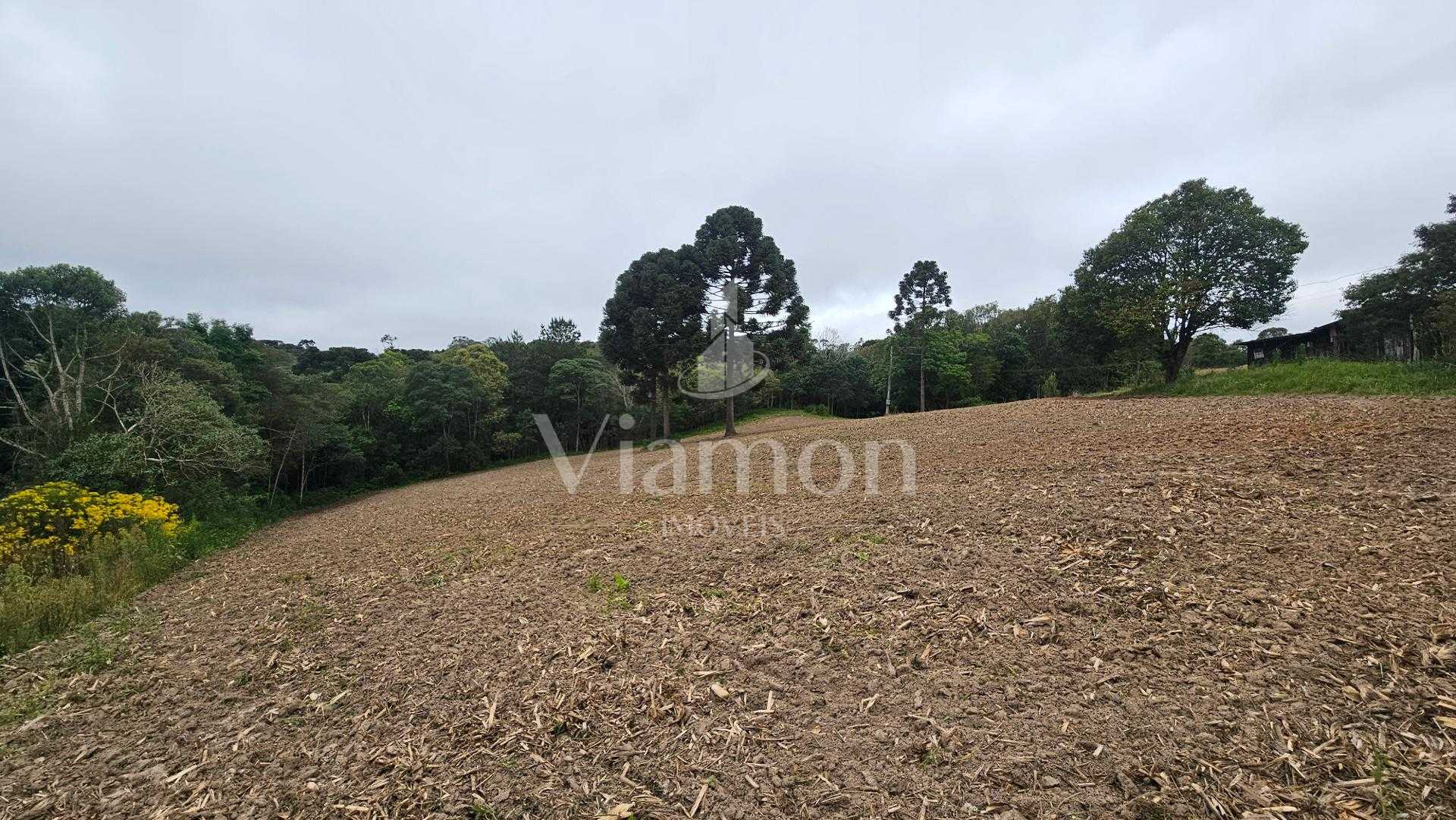 Chácara à venda,10.890 m , com tanque de peixes, CAMPESTRE DA ...