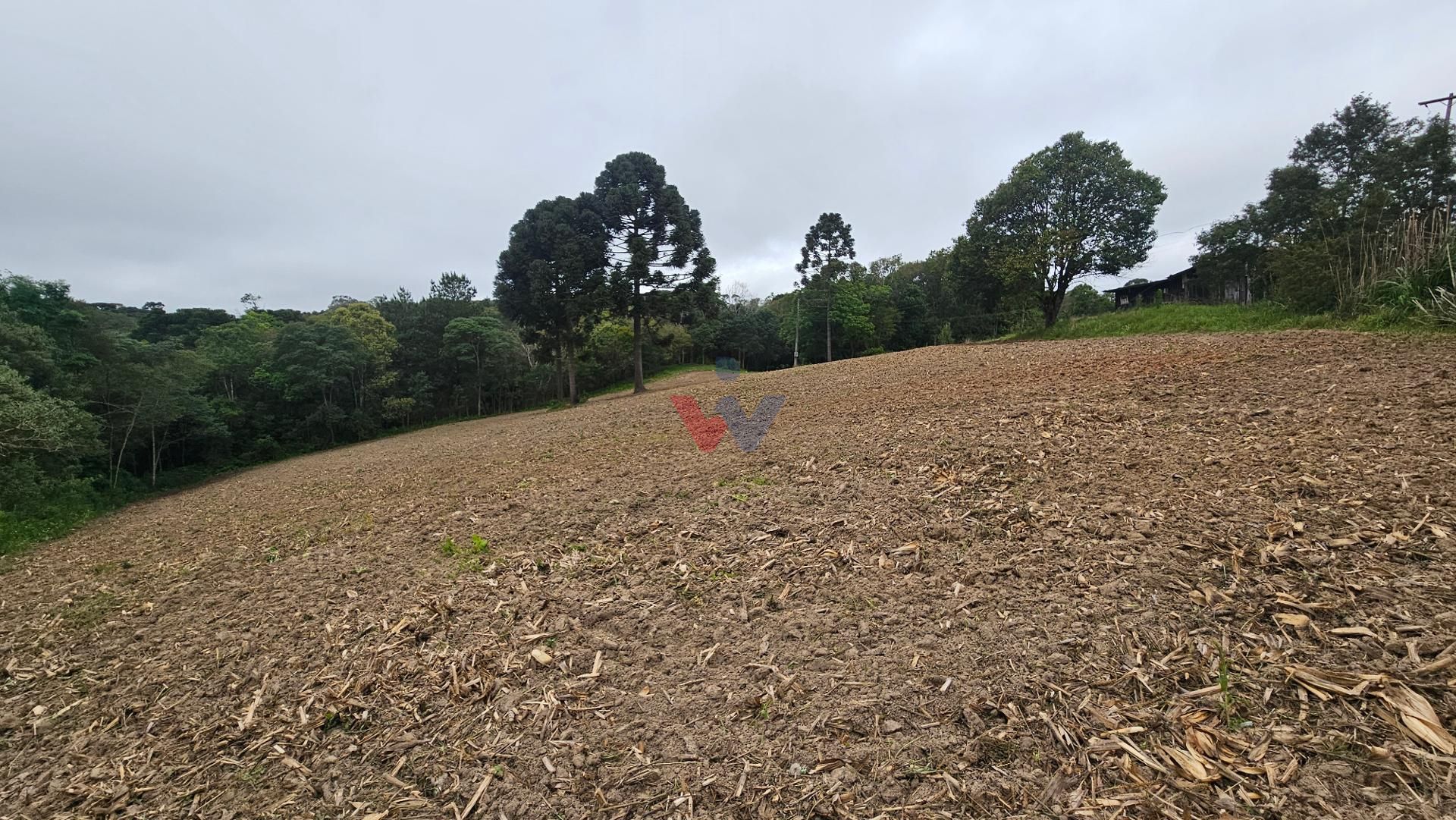 Chácara à venda,10.890 m , com tanque de peixes, CAMPESTRE DA ...