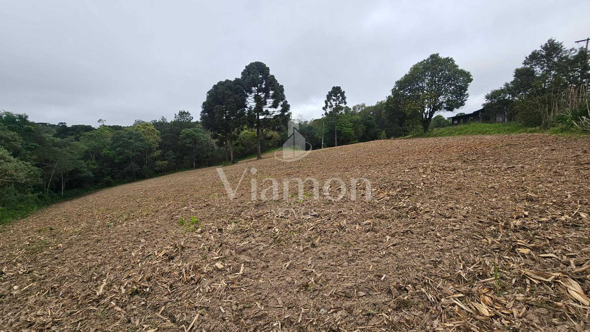 Chácara à venda,10.890 m , com tanque de peixes, CAMPESTRE DA ...