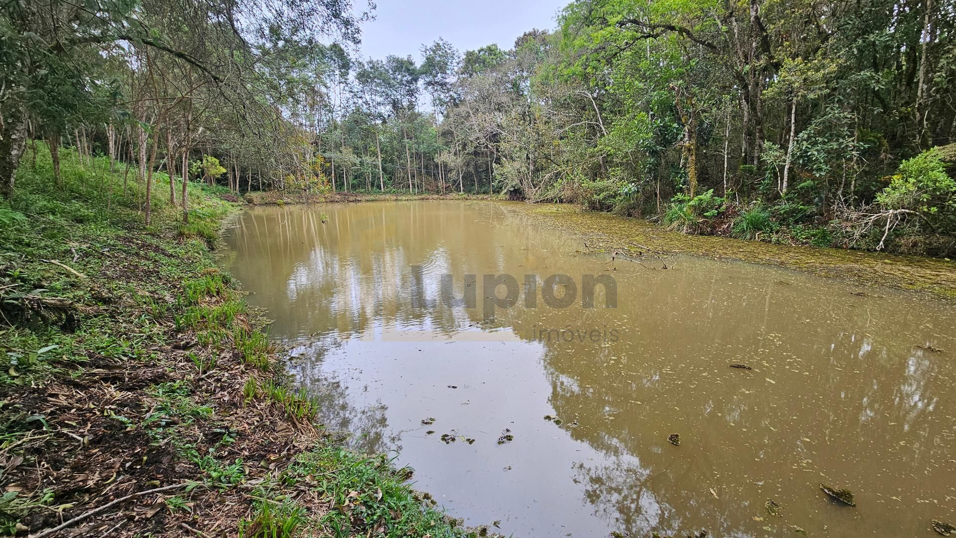 Chácara à venda,10.890 m , com tanque de peixes, CAMPESTRE DA ...