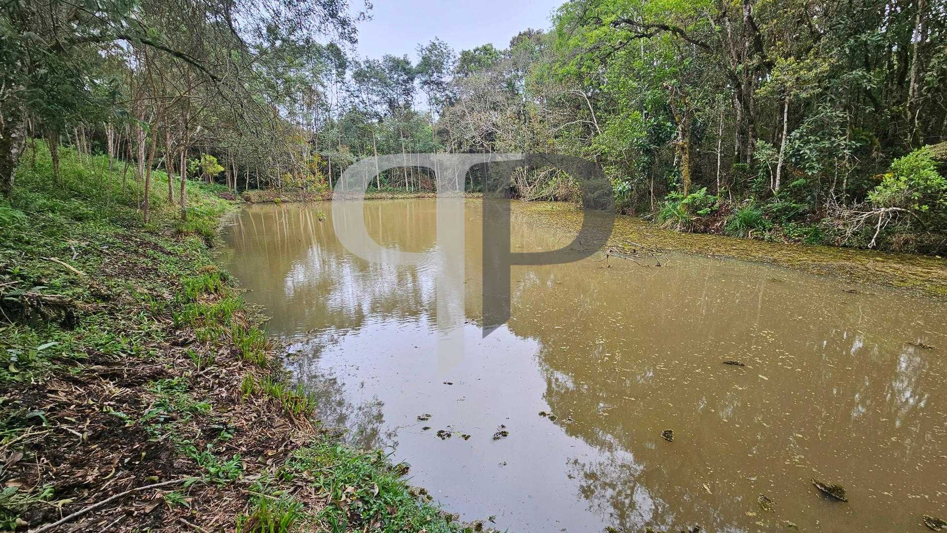 Chácara à venda,10.890 m , com tanque de peixes, CAMPESTRE DA ...