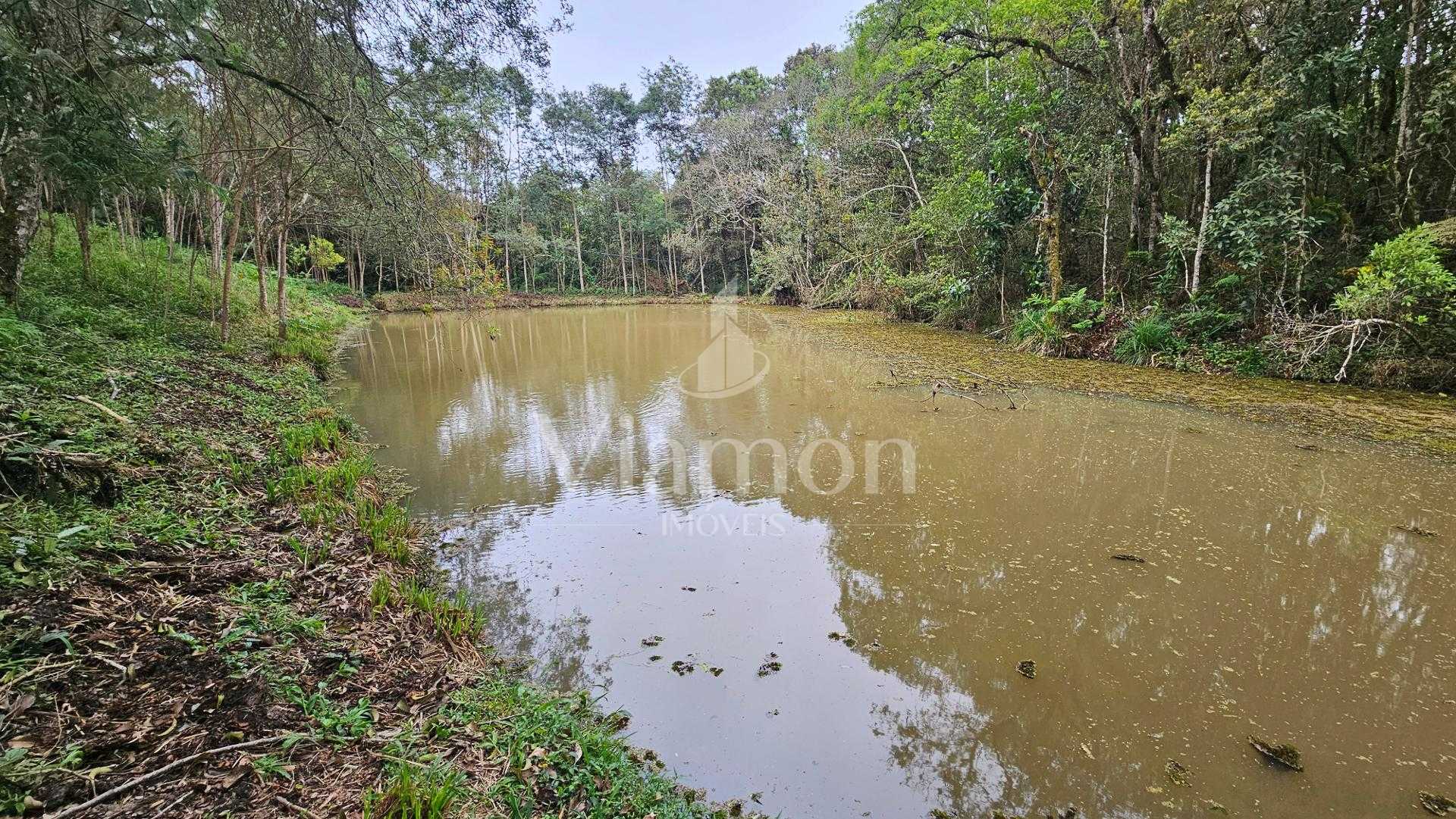 Chácara à venda,10.890 m , com tanque de peixes, CAMPESTRE DA ...