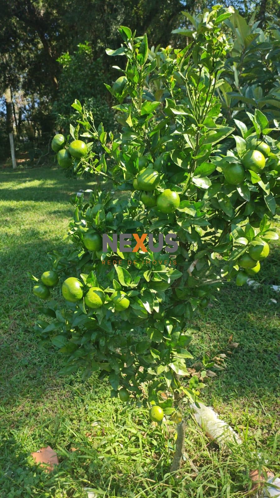 Chácara à venda, CAMPESTRE DA FAXINA, CONTENDA - PR