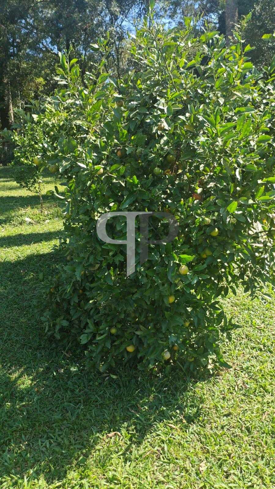 Chácara à venda, CAMPESTRE DA FAXINA, CONTENDA - PR