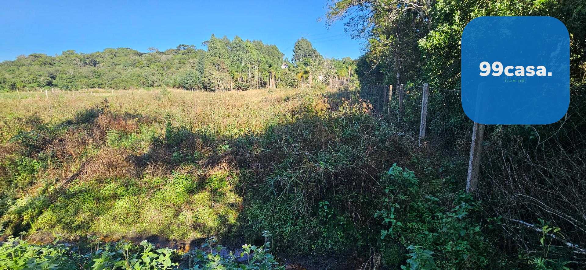 Chácara à venda com 10.890M , plana, 2 tanques, 3 nascentes, c...