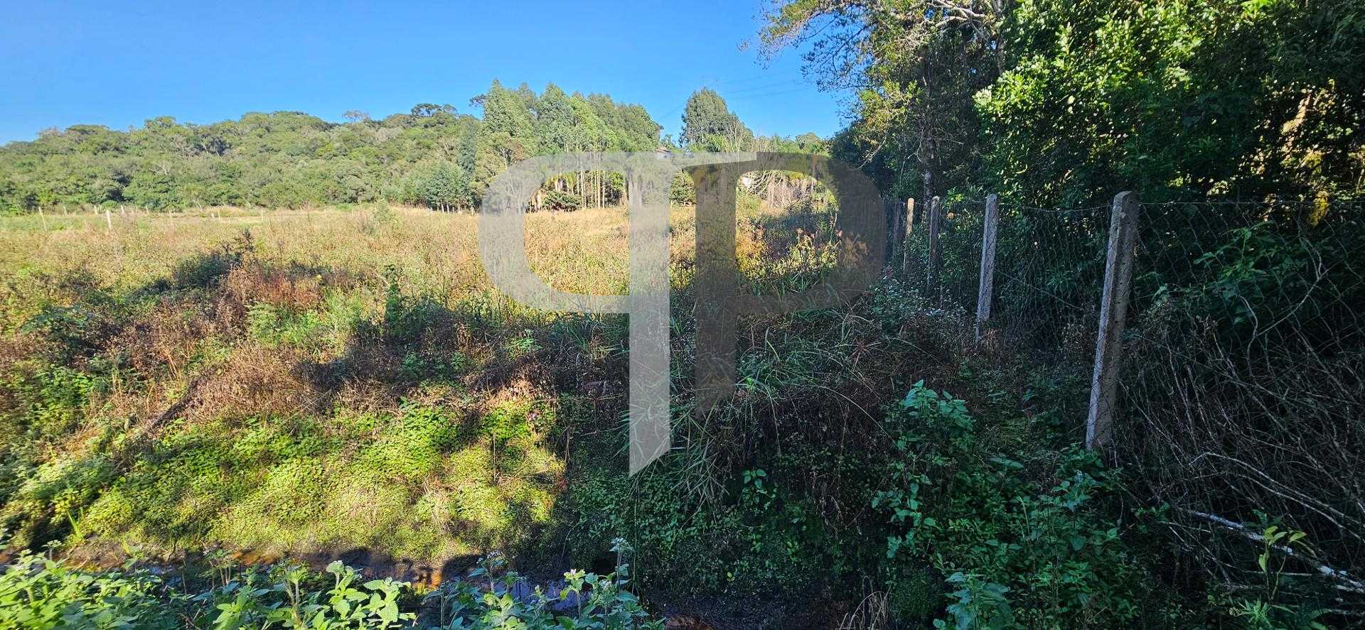Chácara à venda com 10.890M , plana, 2 tanques, 3 nascentes, c...