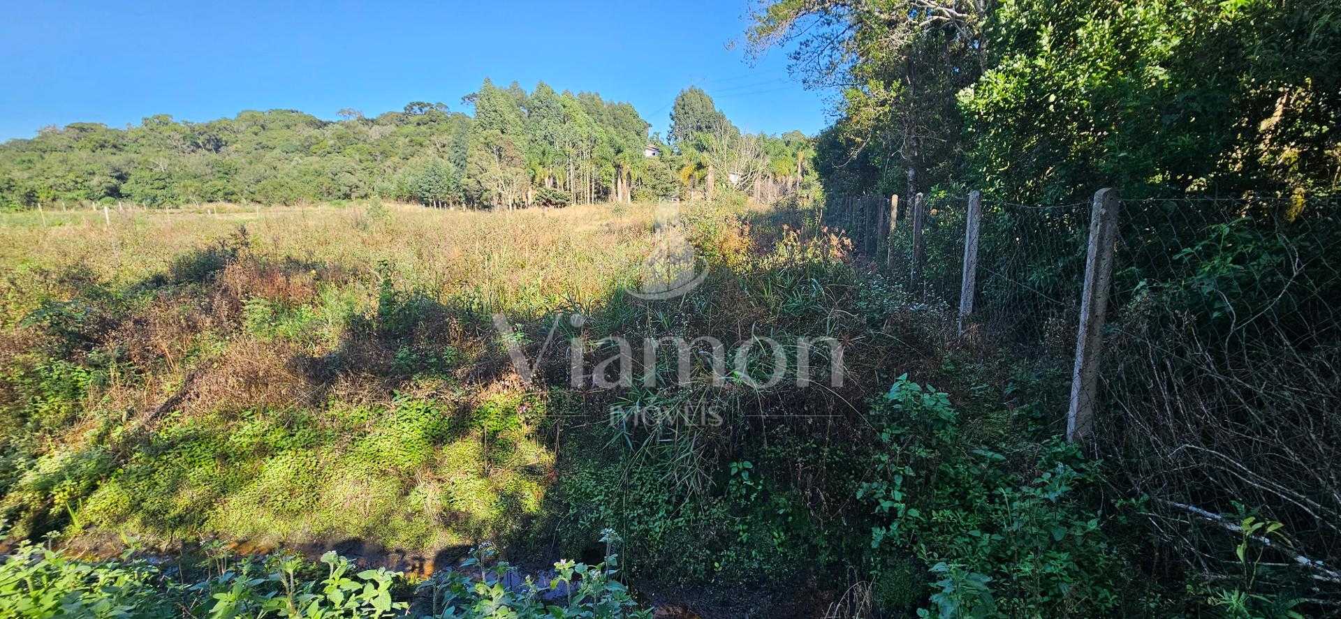 Chácara à venda com 10.890M , plana, 2 tanques, 3 nascentes, c...