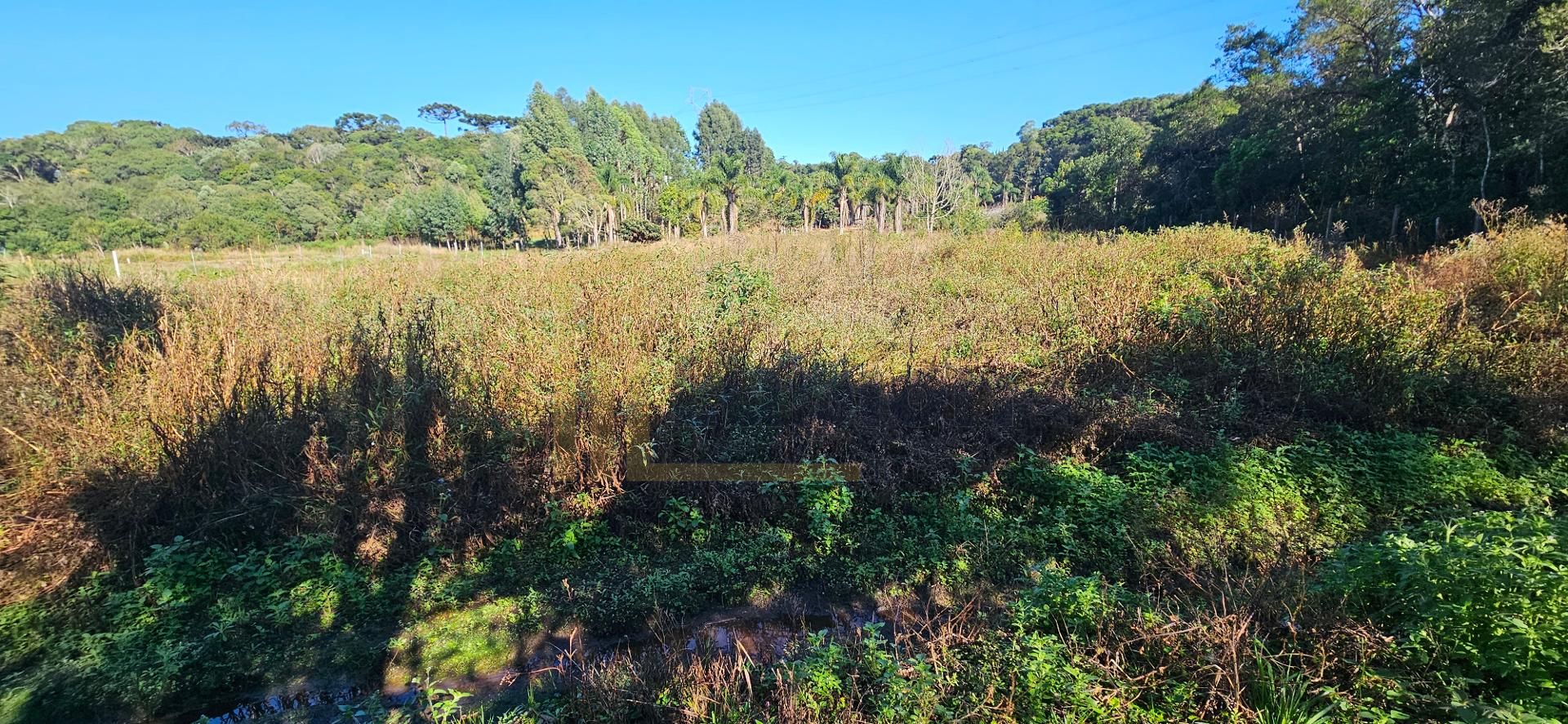 Chácara à venda com 10.890M , plana, 2 tanques, 3 nascentes, c...