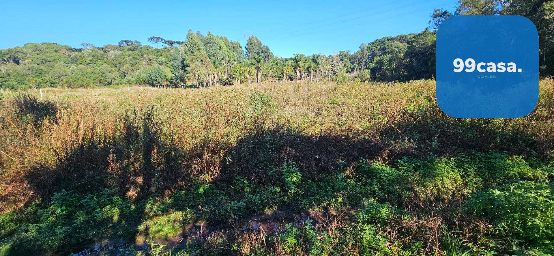 Chácara à venda com 10.890M , plana, 2 tanques, 3 nascentes, c...