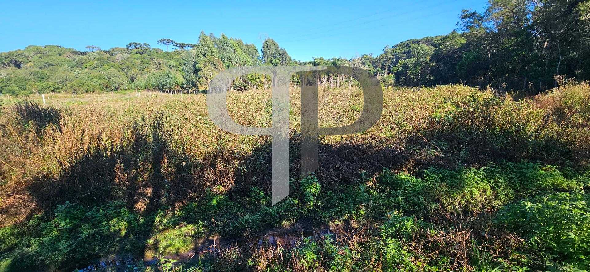 Chácara à venda com 10.890M , plana, 2 tanques, 3 nascentes, c...
