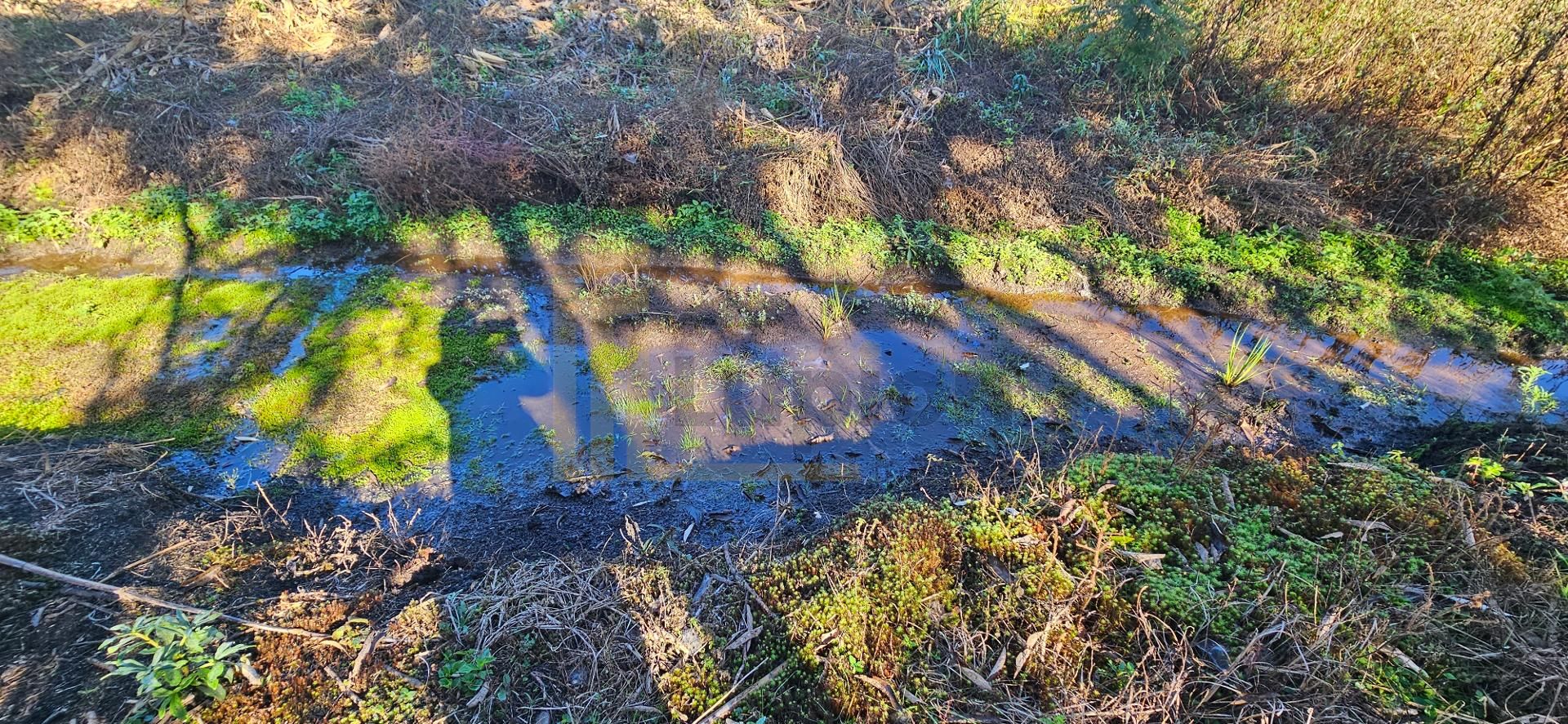 Chácara à venda com 10.890M , plana, 2 tanques, 3 nascentes, c...