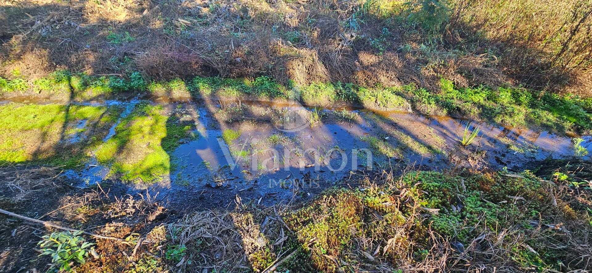 Chácara à venda com 10.890M , plana, 2 tanques, 3 nascentes, c...