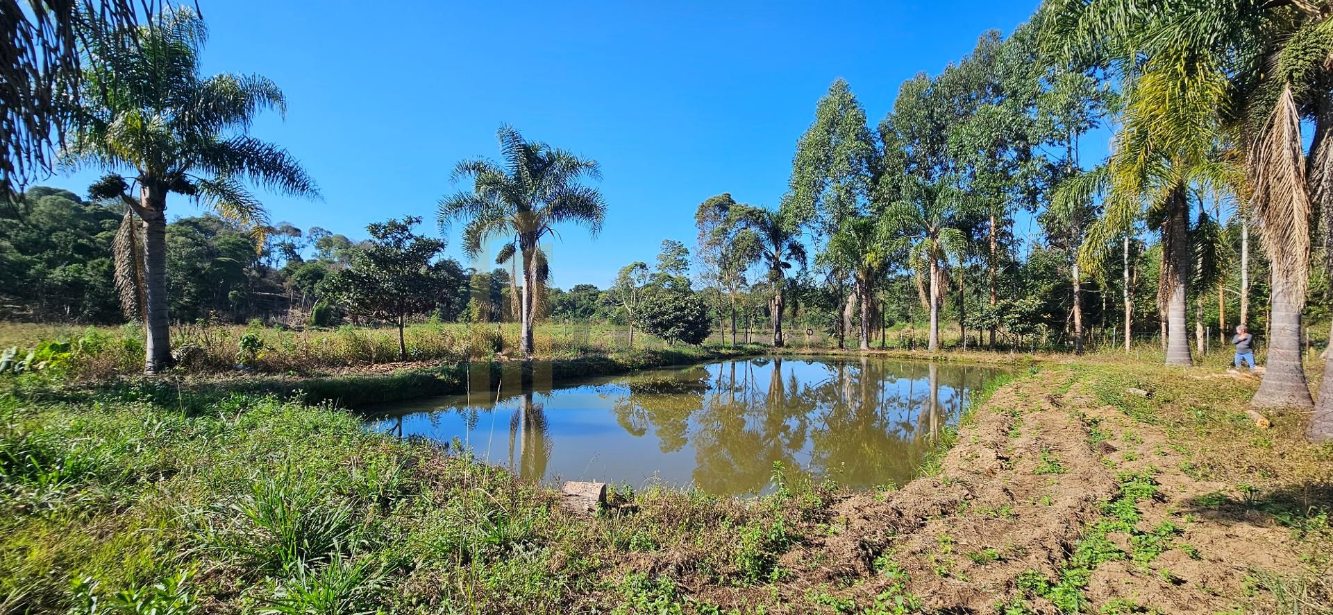 Chácara à venda com 10.890M , plana, 2 tanques, 3 nascentes, c...