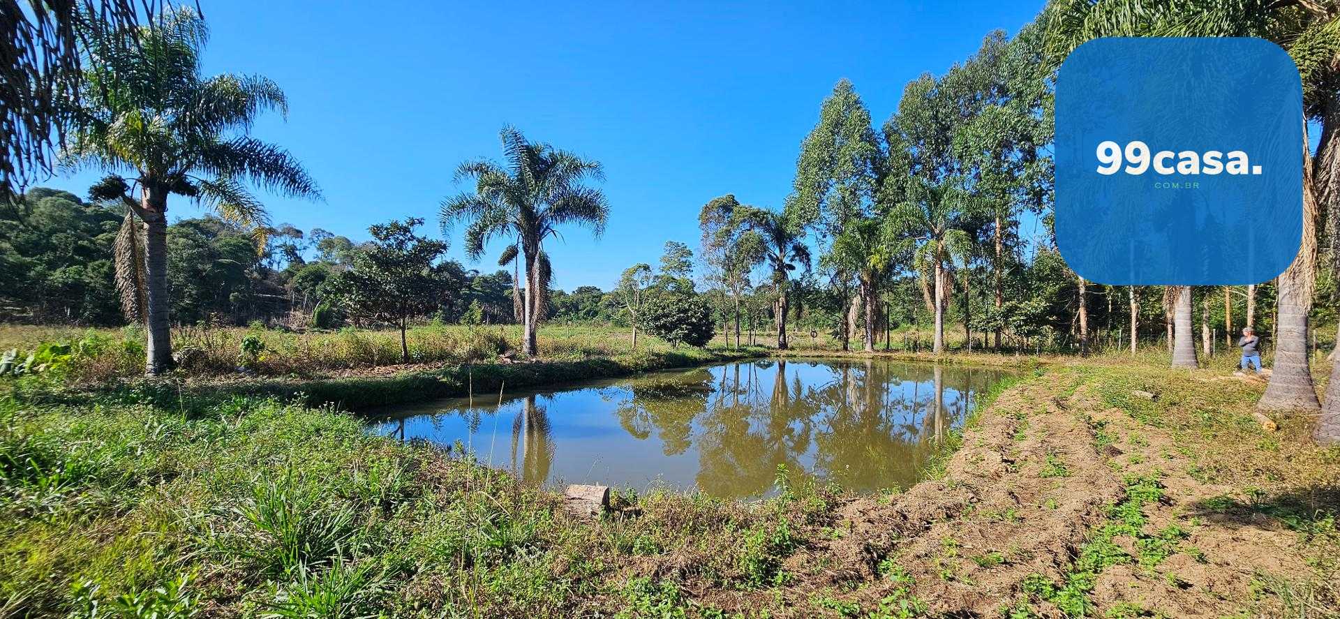 Chácara à venda com 10.890M , plana, 2 tanques, 3 nascentes, c...