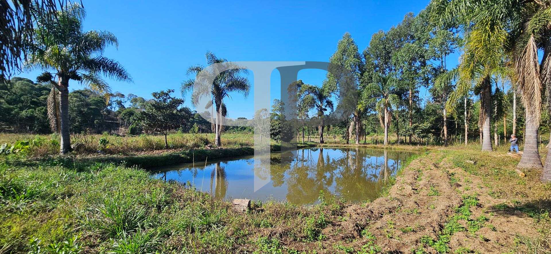 Chácara à venda com 10.890M , plana, 2 tanques, 3 nascentes, c...