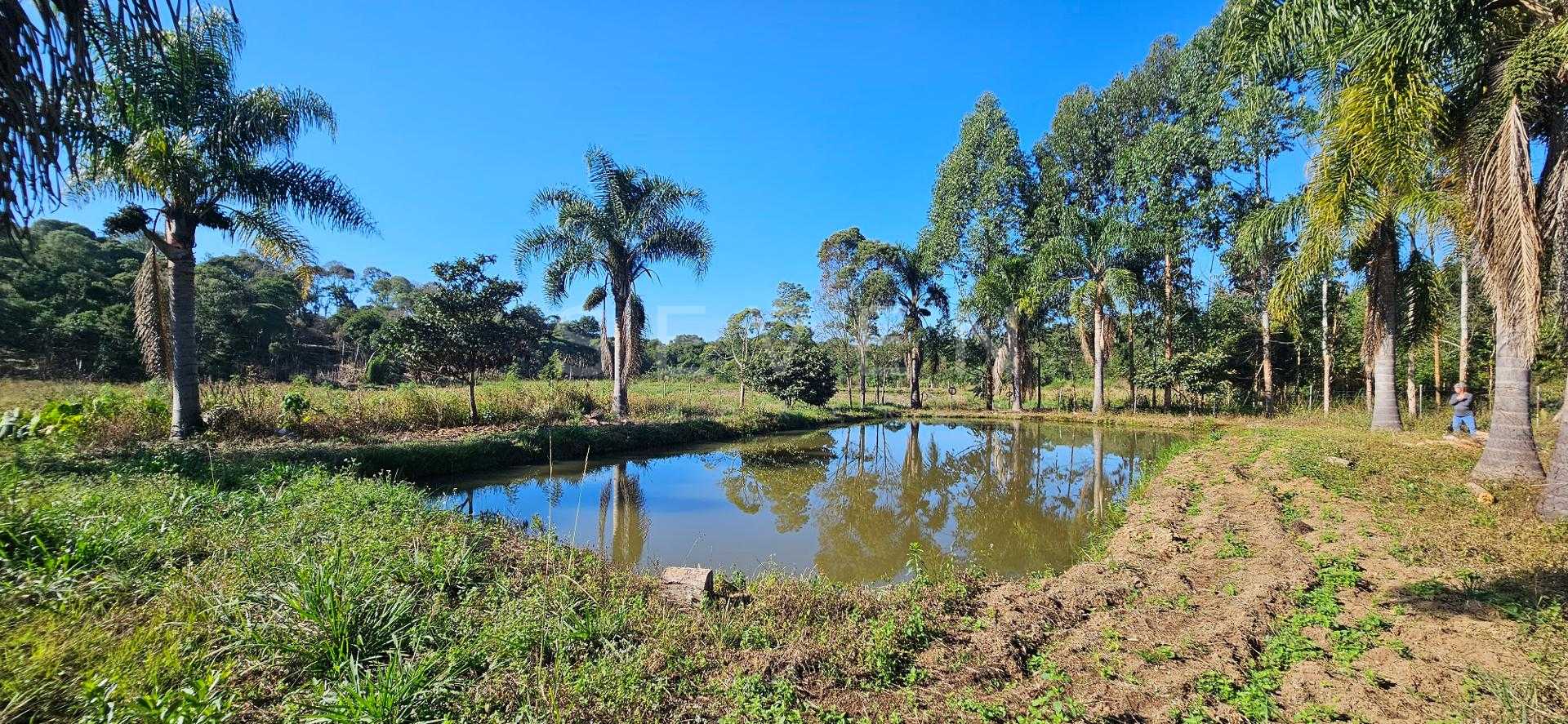 Chácara à venda com 10.890M , plana, 2 tanques, 3 nascentes, c...