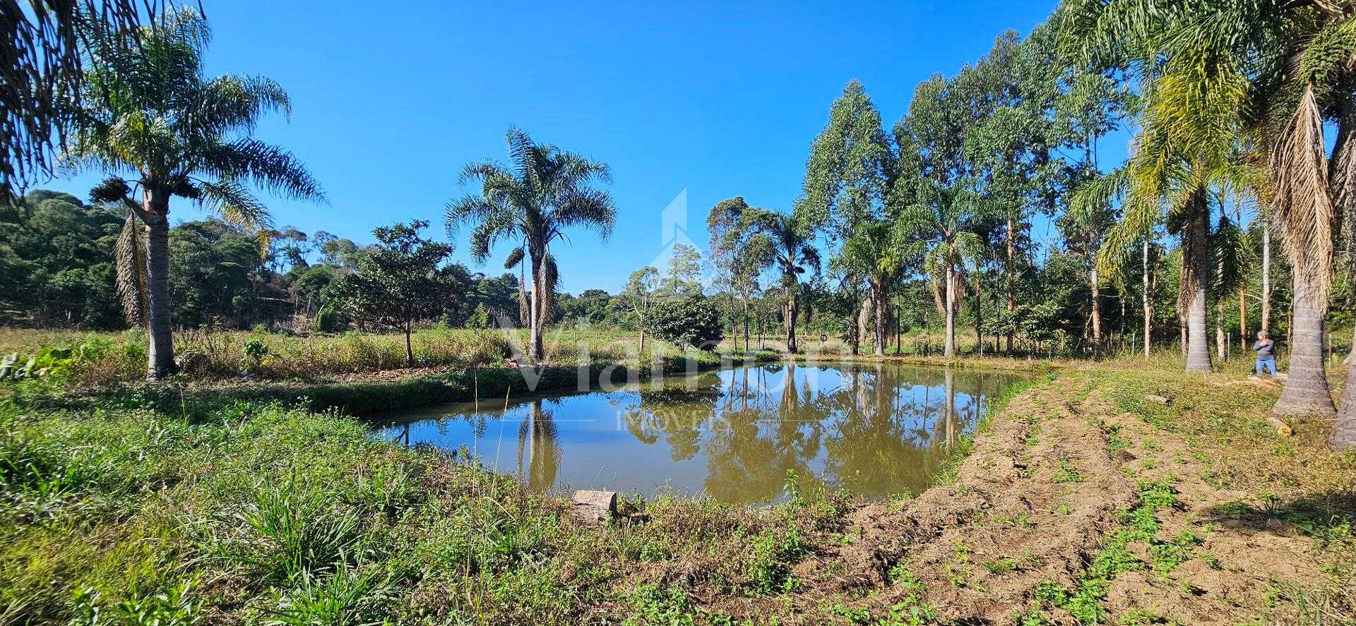 Chácara à venda com 10.890M , plana, 2 tanques, 3 nascentes, c...