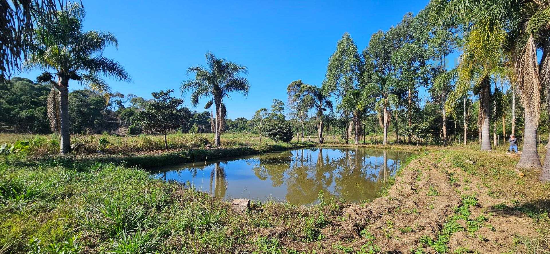 Chácara à venda com 10.890M , plana, 2 tanques, 3 nascentes, c...