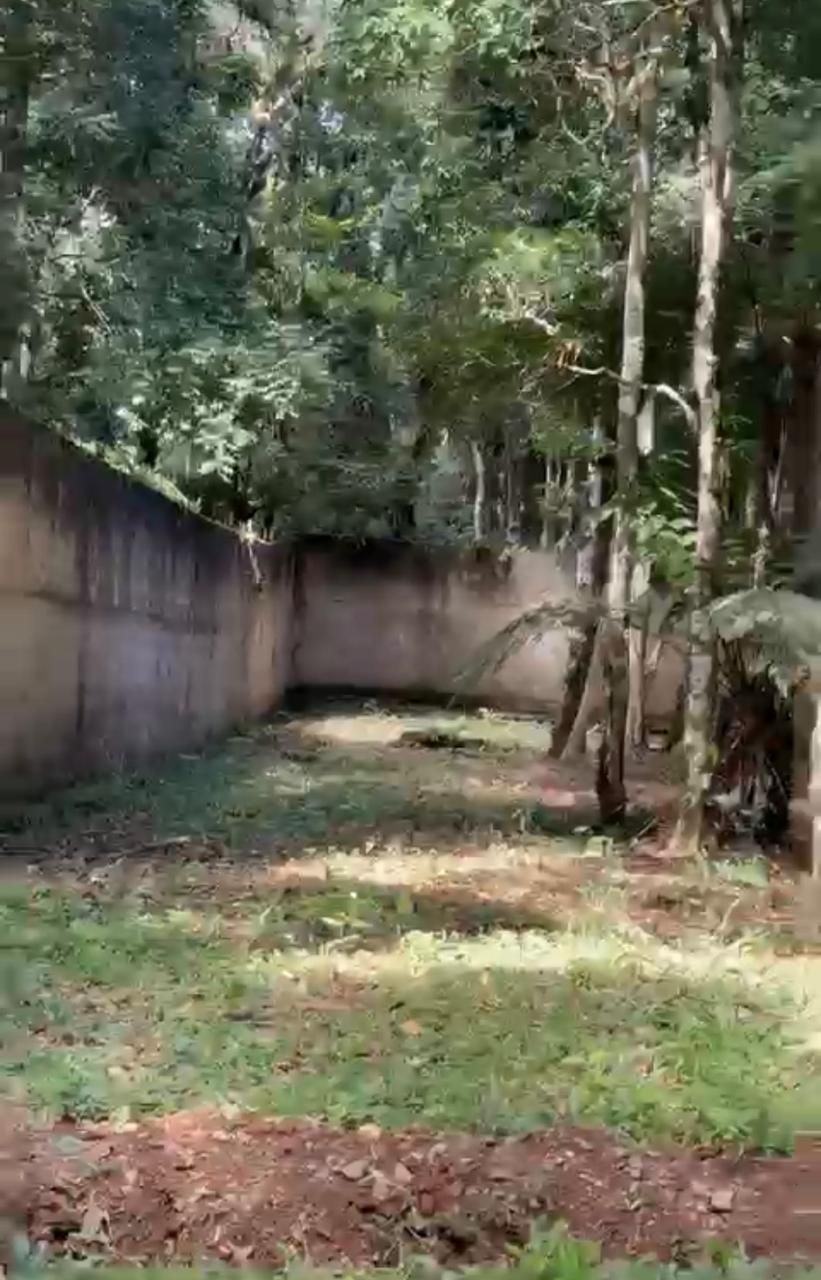 Chácara à venda, ESTRADA DAGRACIOSA, QUATRO BARRAS - PR