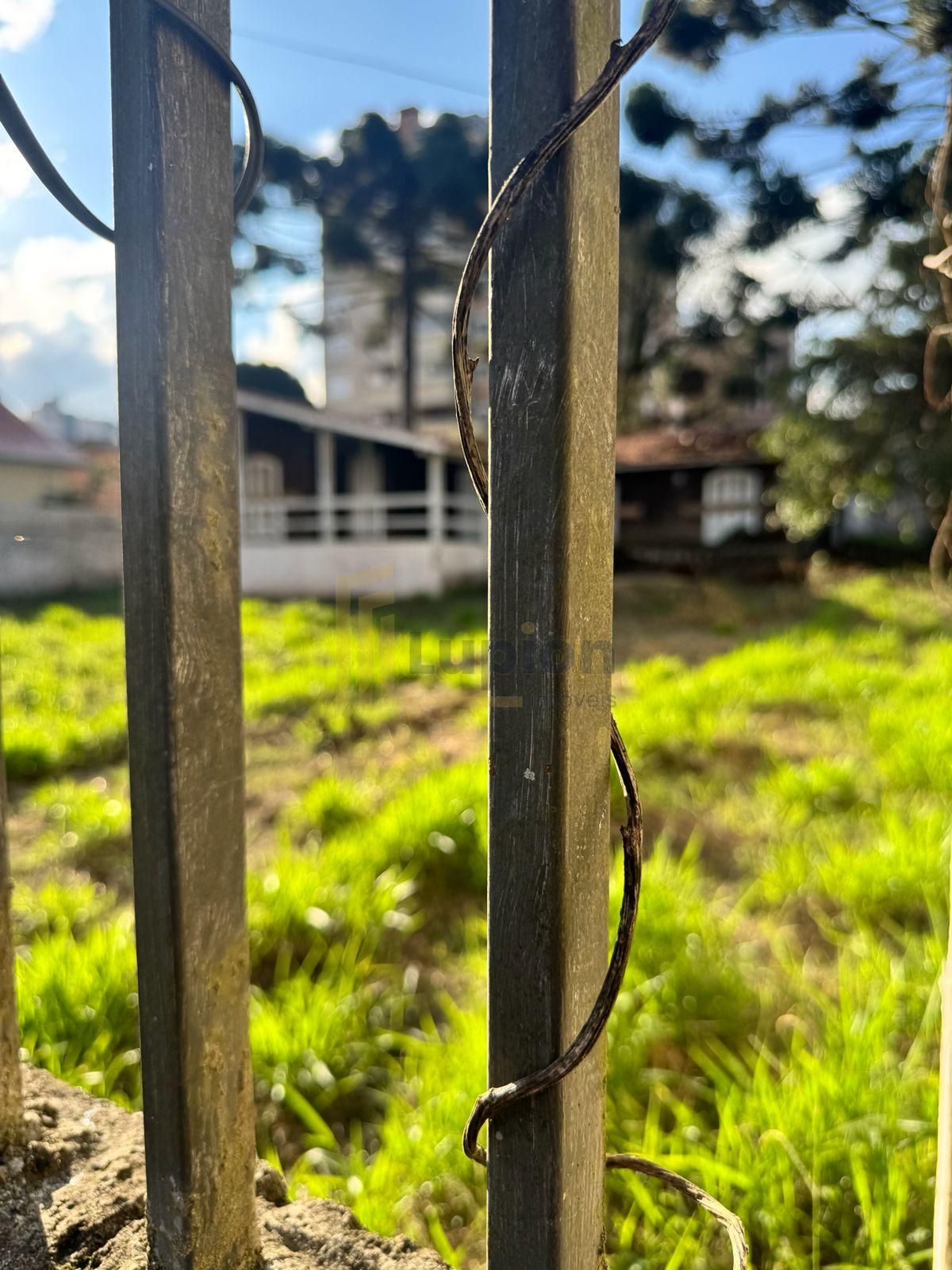 Terreno à venda, alto da rua xv, CURITIBA - PR