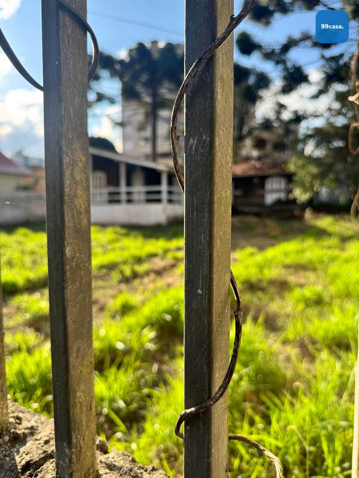 Terreno à venda, alto da rua xv, CURITIBA - PR